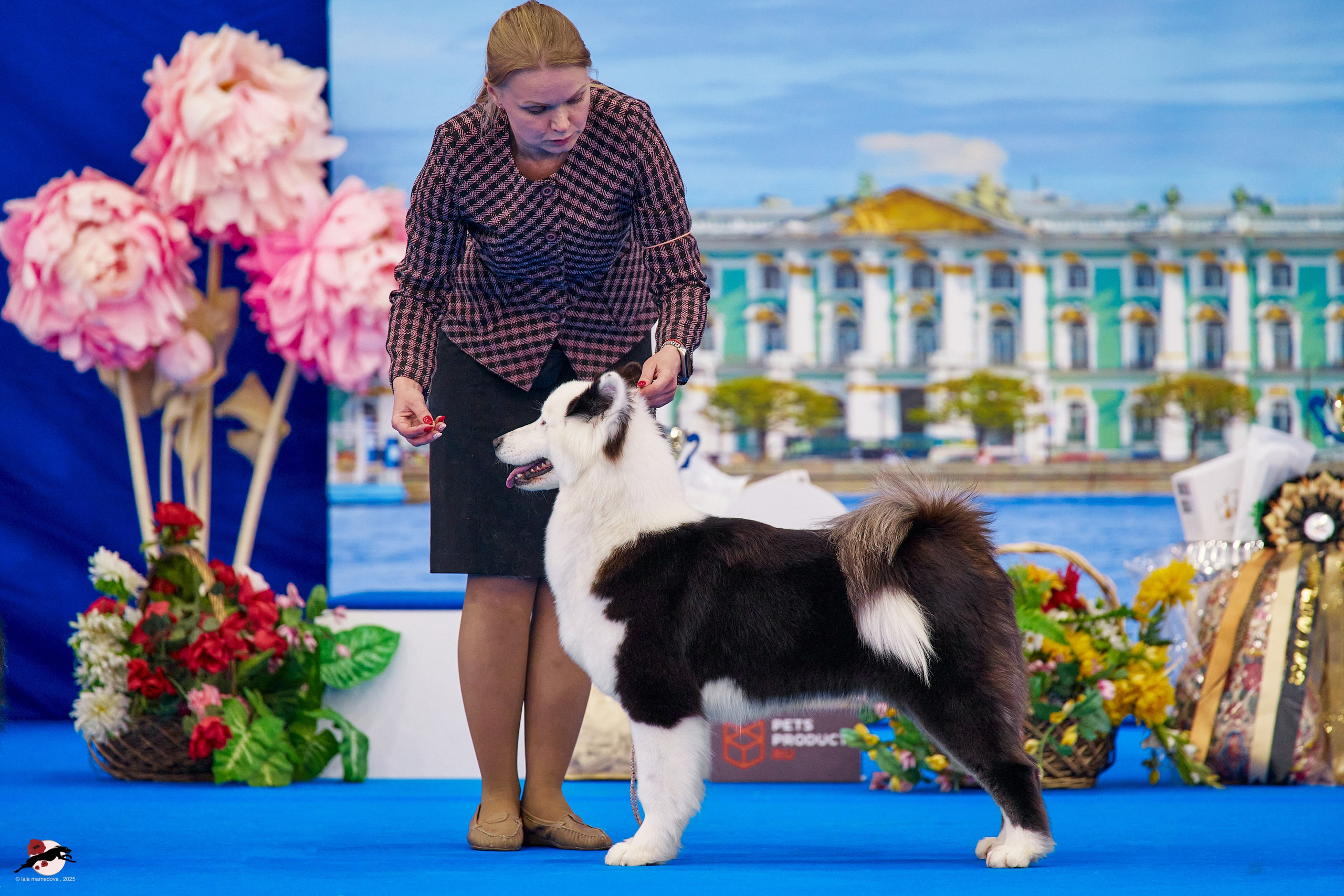 ГРАН ПРИ «ВЕСЕННИЙ ПЕТЕРБУРГ» & «СУПЕР КУБОК «ЭЛИТЫ»-2025»