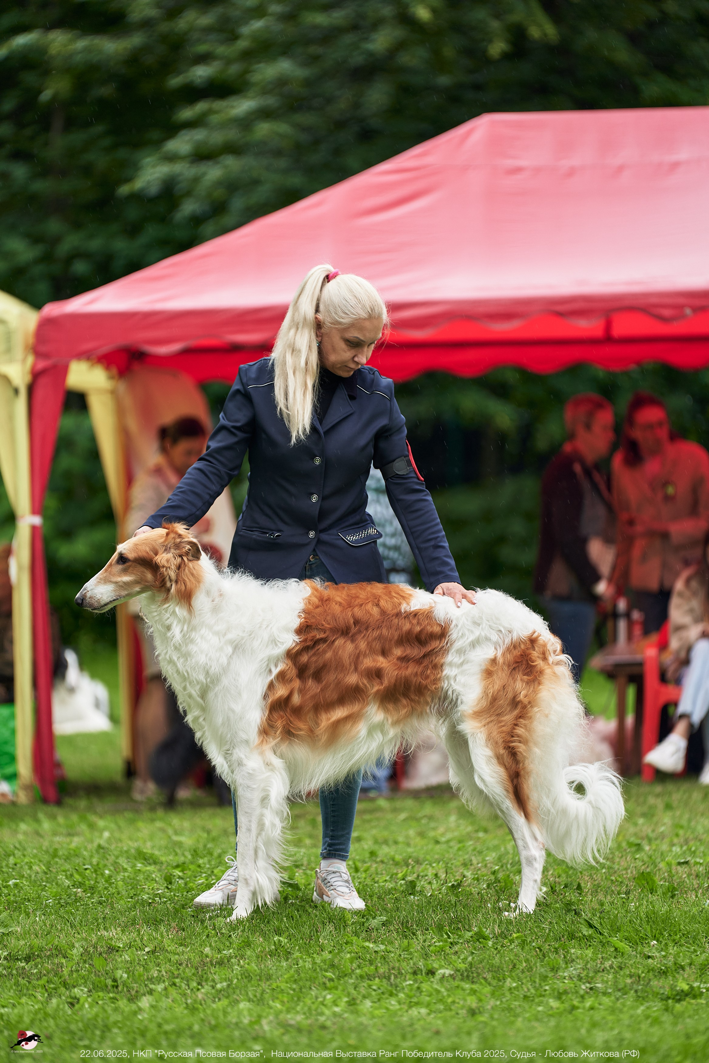 22.06.2025 | Национальная Выставка НКП "Русская Псовая Борзая"