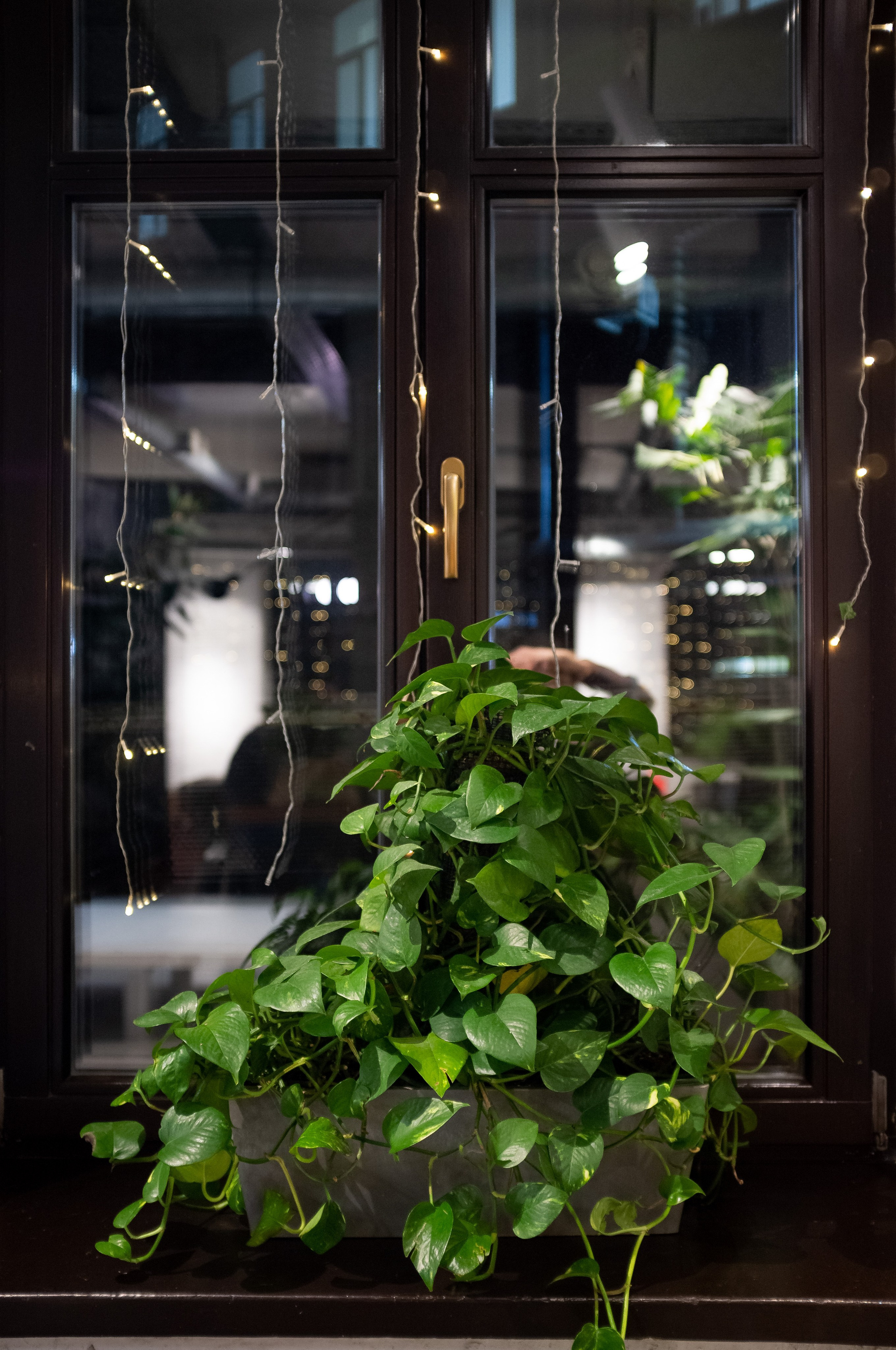 Skuratov coffee. Канун Нового года. Искусство фотографии. Мария Осокина