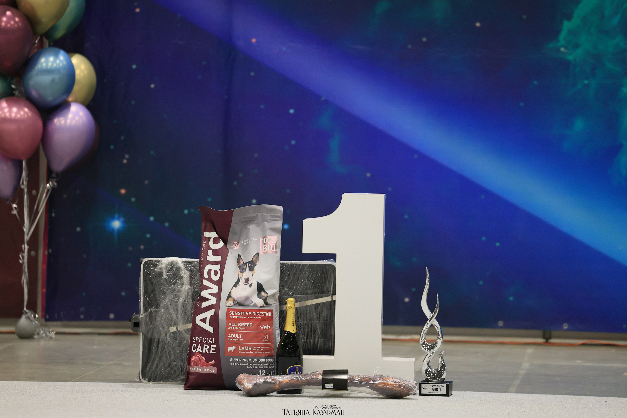 28.03.2026 Рейтинговая выставка в Новосибирске. Фотограф Анималист из Новосибирска Татьяна Кауфман