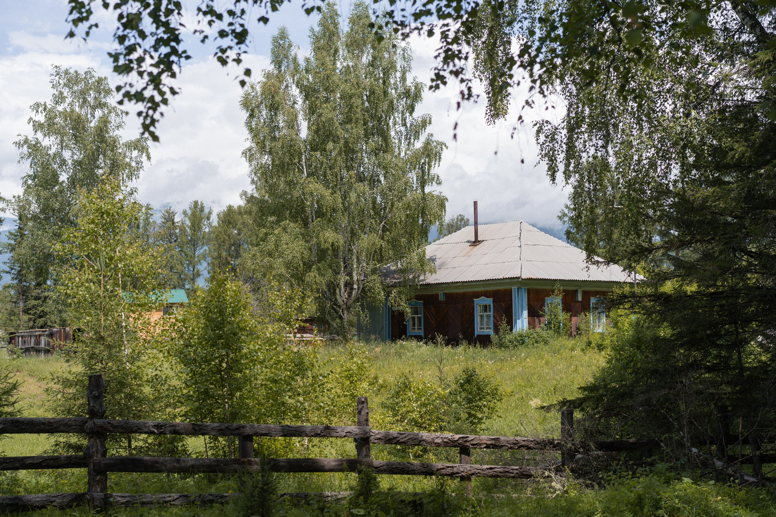 Алтай 2025. Лиза Фирстова