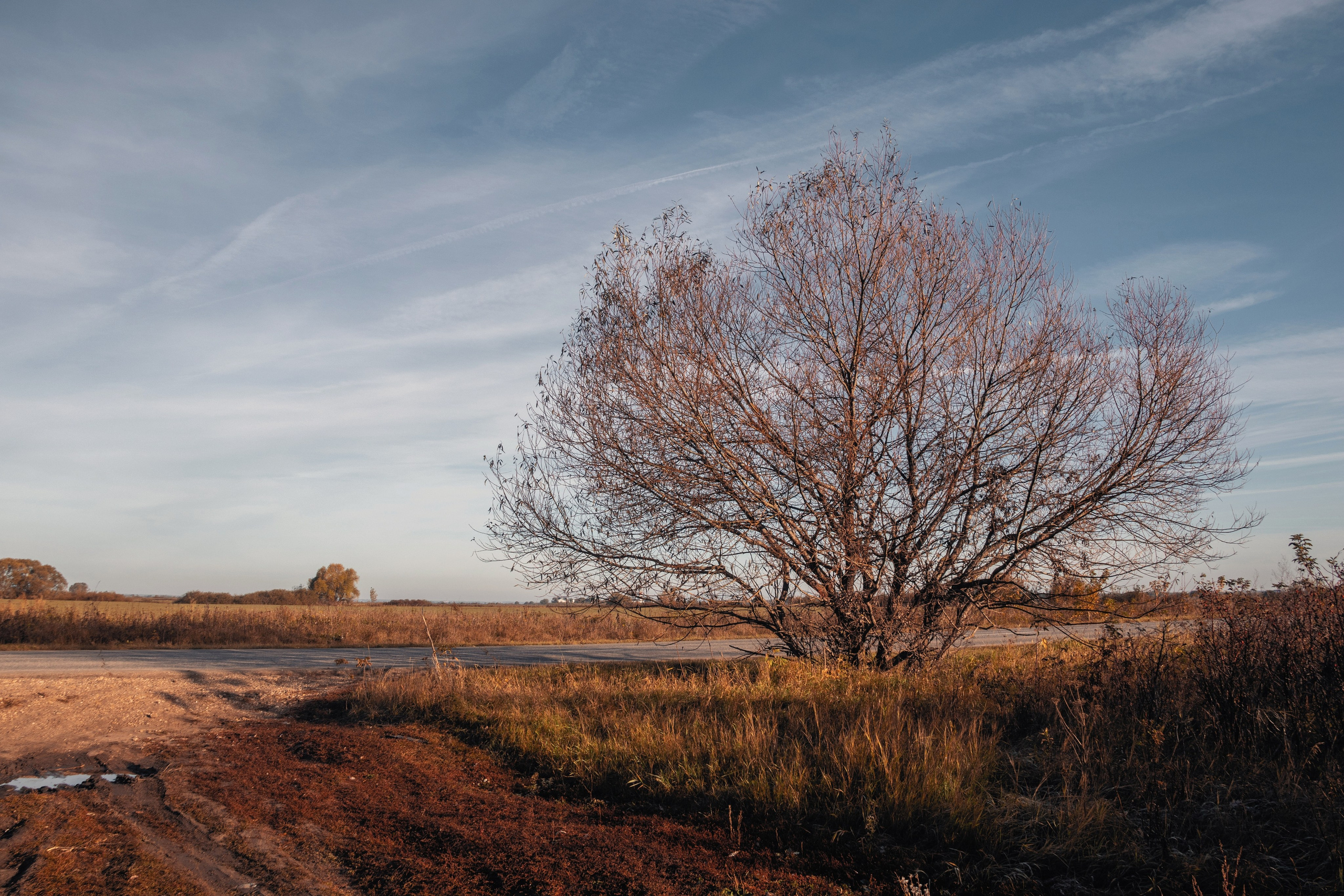 Волшебное утро в первый день октября. С любовью, фотохудожник