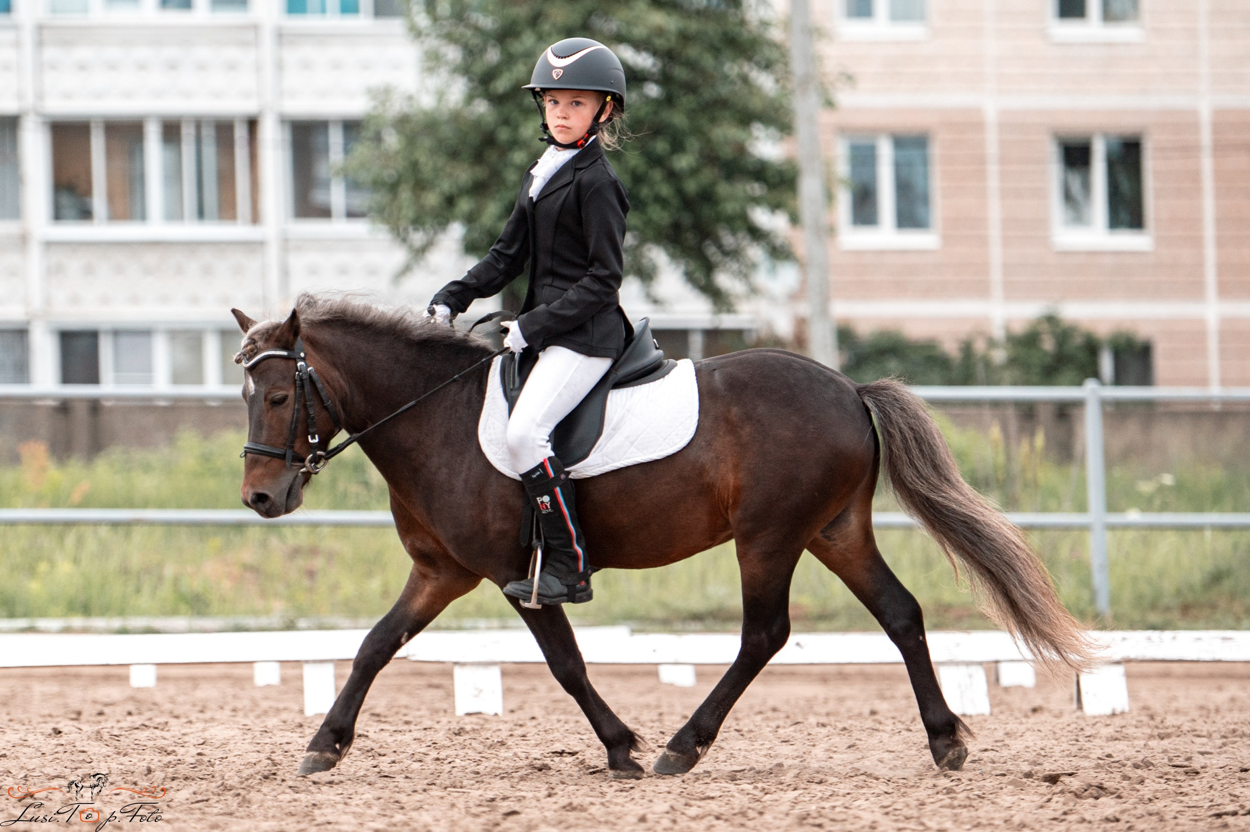 Областные соревнования по выездке. Тверь. Конный и фотограф с животными в Твери Топталова Люся