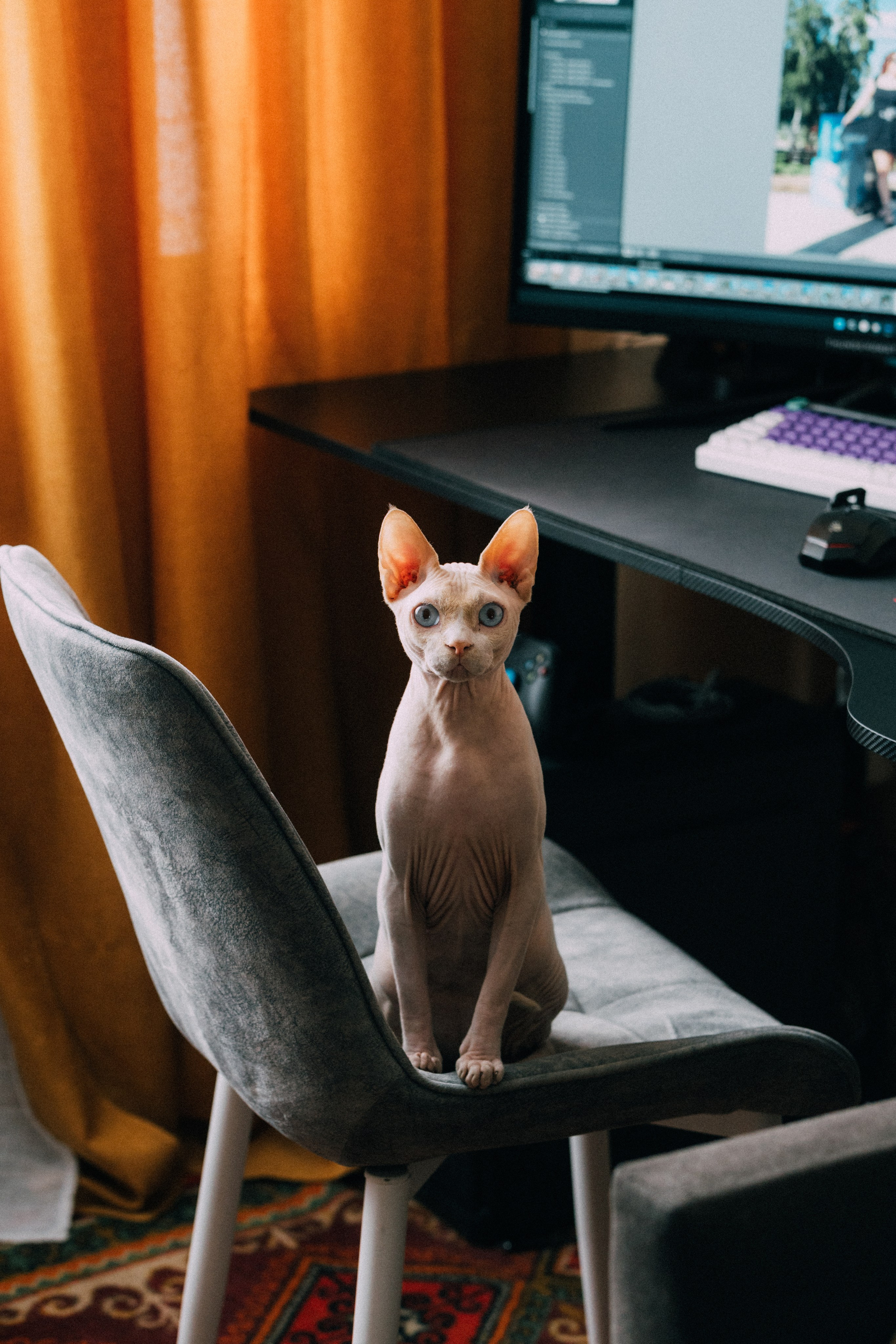 Андрей Попов | Фотограф Волгоград| Druny_photo