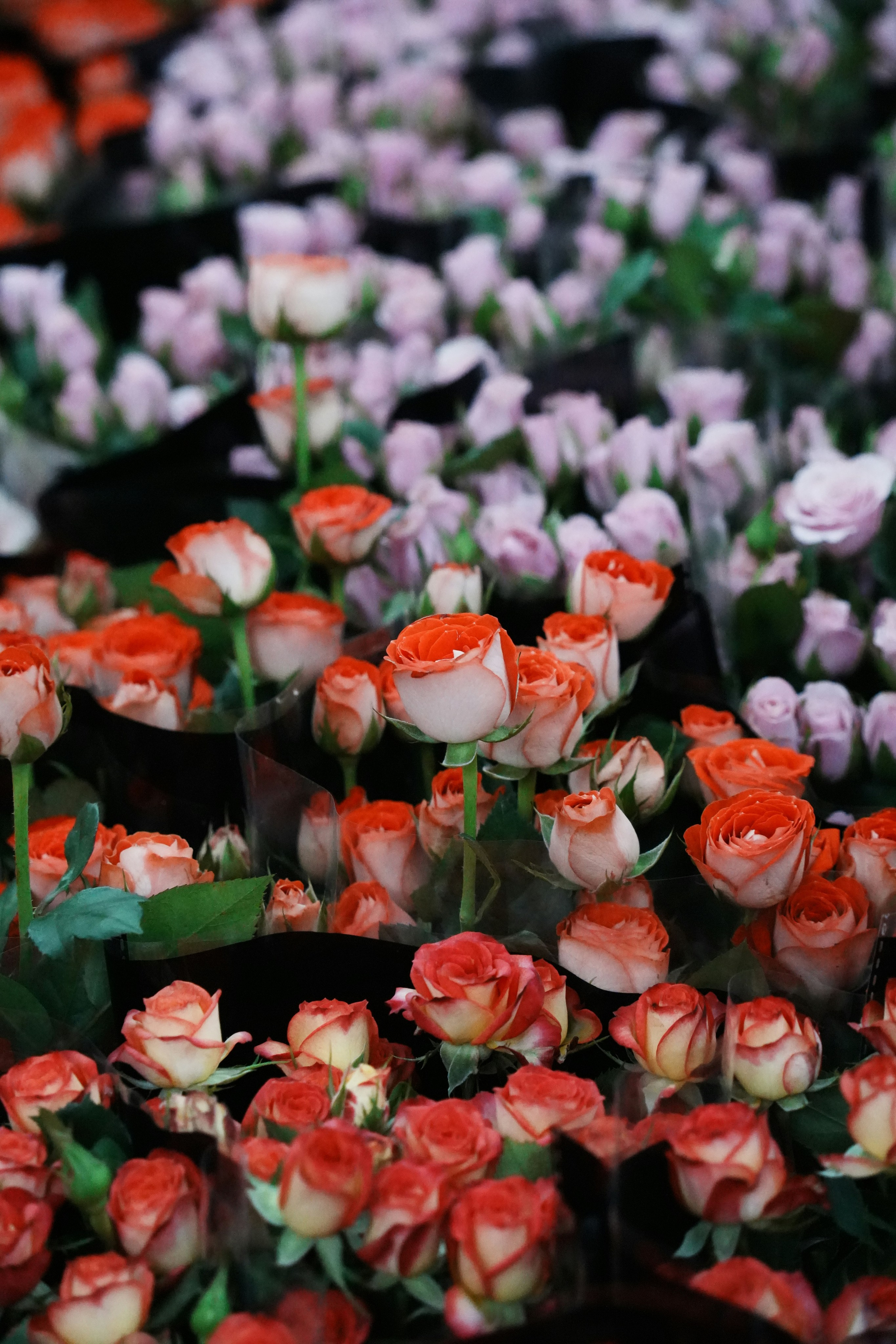 Цветочный магазин Ботаника78