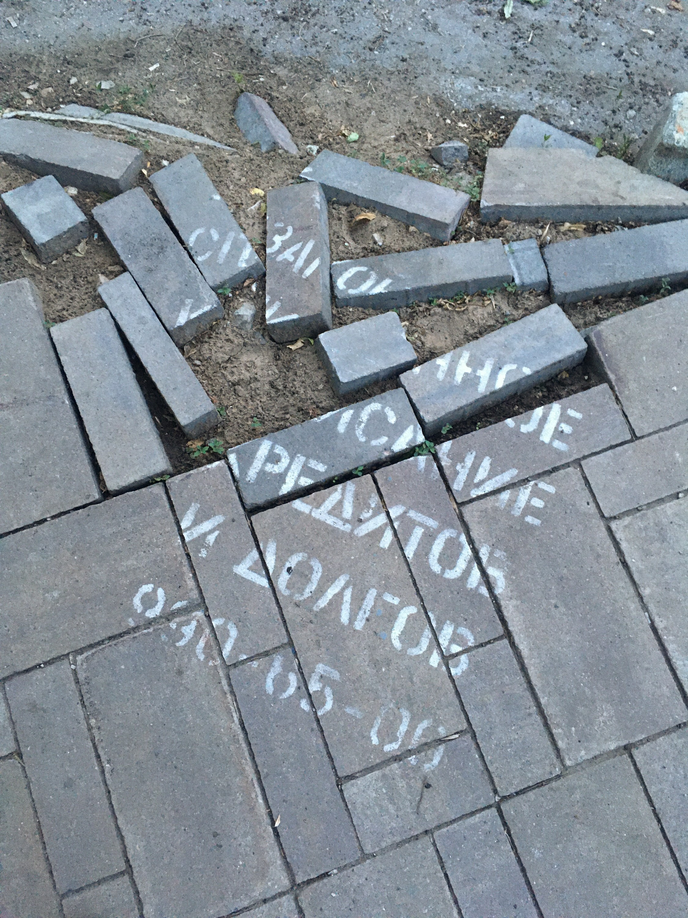 Предвзятая действительность. Дима Птицын