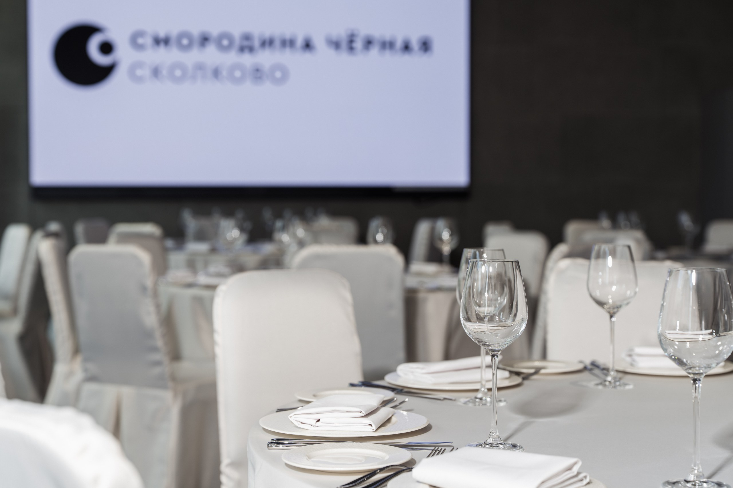 Chernaya Smorodina Skolkovo Hotel. Svyatoslav Bunkov | photographer
