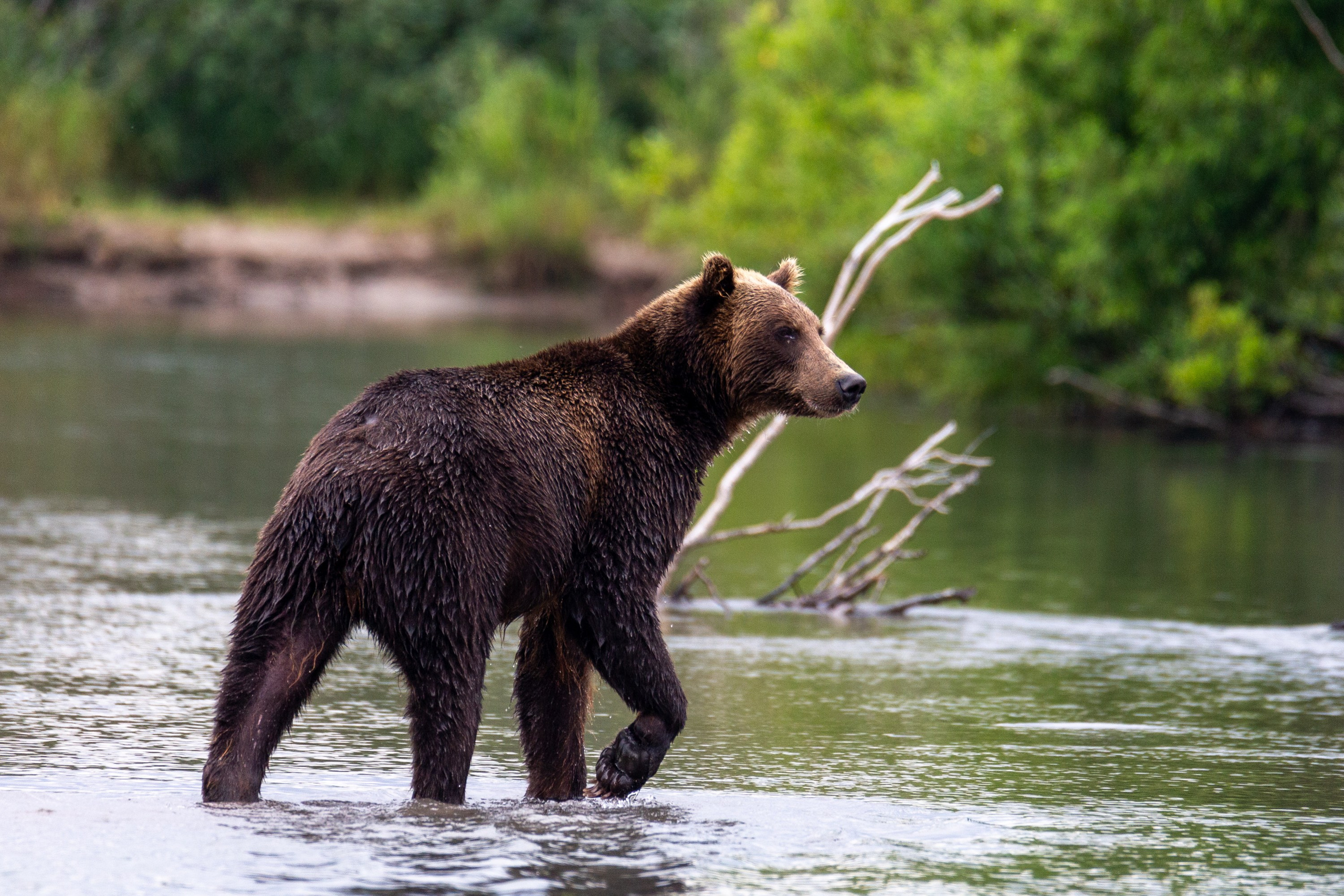 Озеро Толмачева. Время Камчатки: чтобы найти свой путь, нужно скорость умножить на время