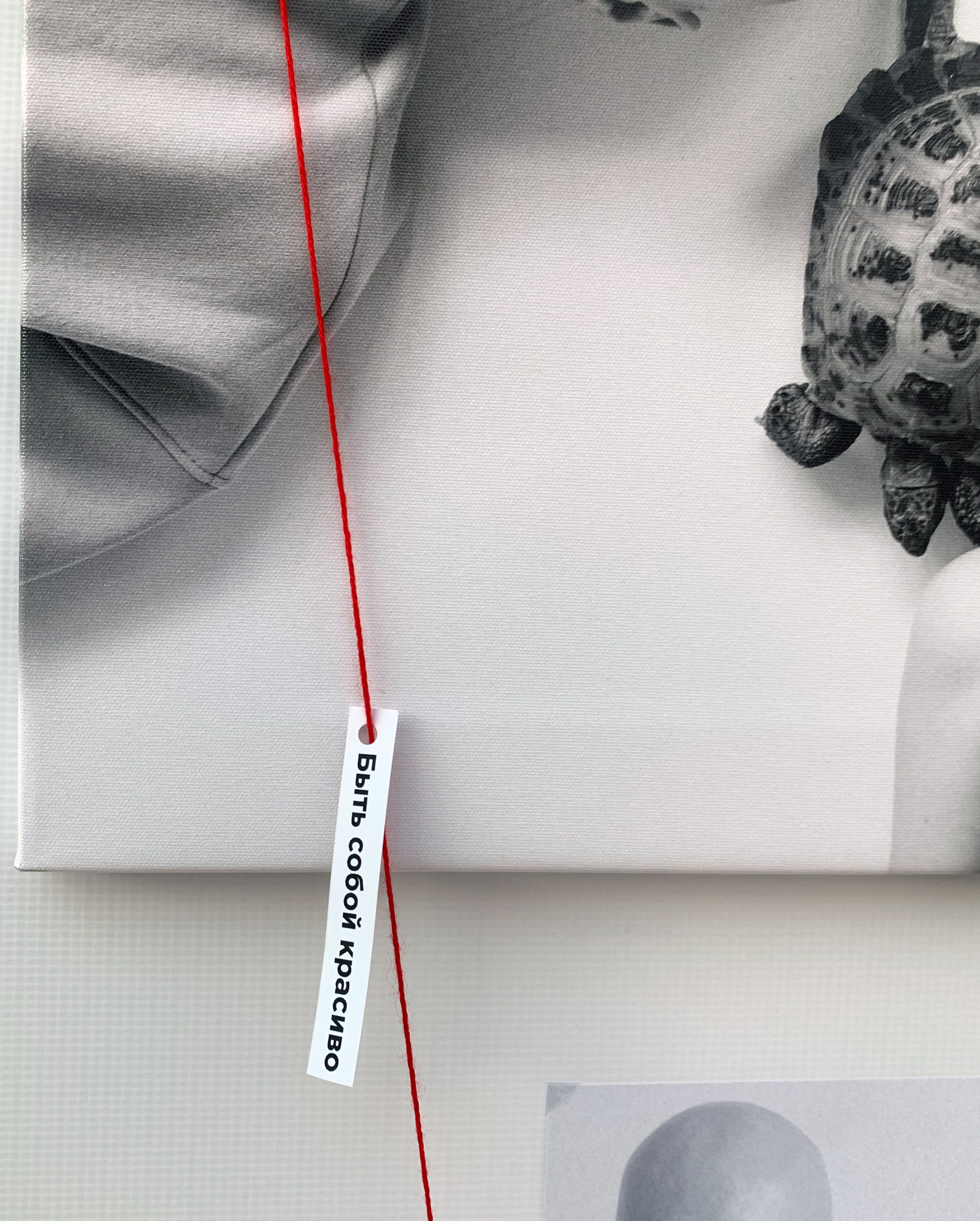 РаЗ\Вные. Контент-креатор Паша Норицын