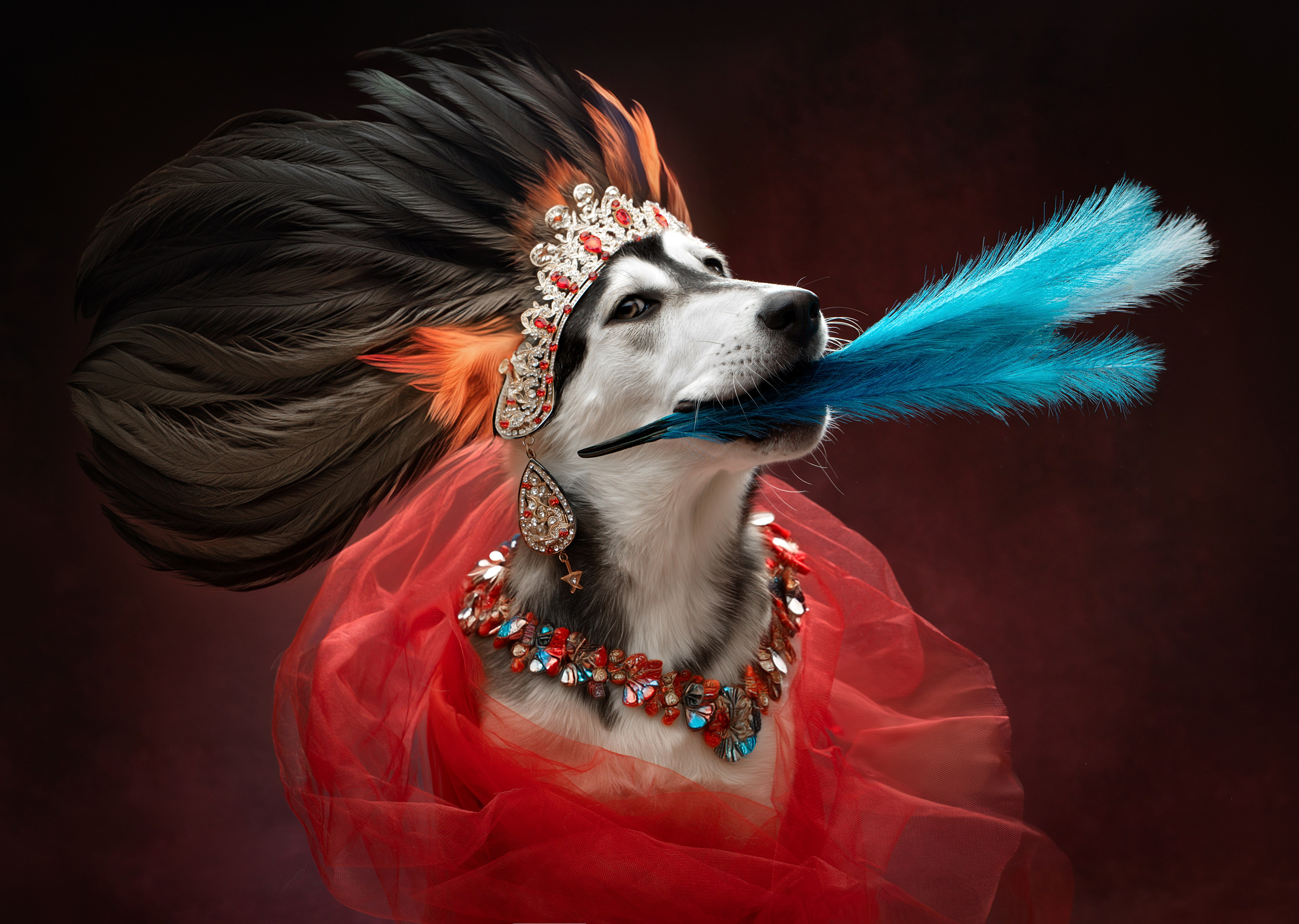 Фотограф анималист в Санкт-Петербурге Светлана Писарева