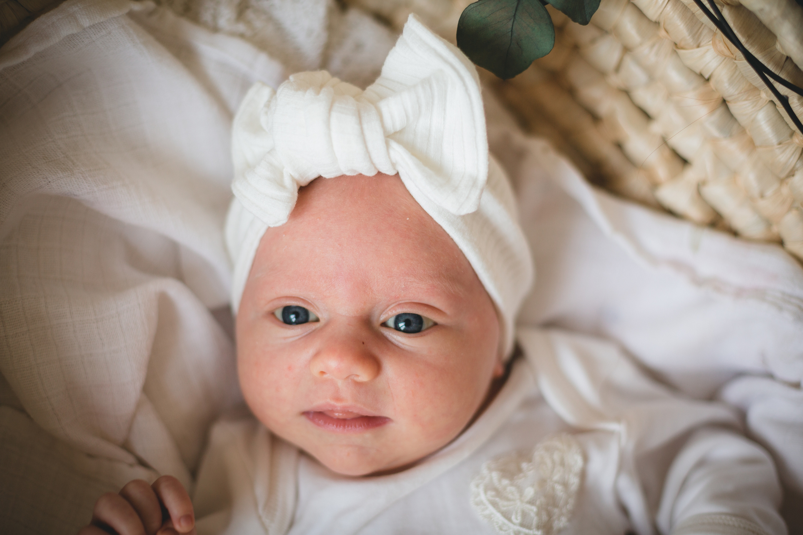 Стоимость фотосессии. Семейный и детский фотограф в Сочи Наталья Вербицкая
