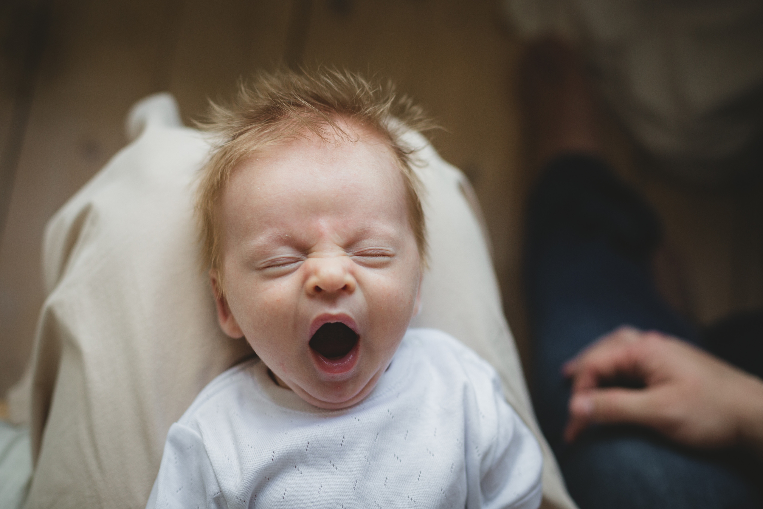 Стоимость фотосессии. Семейный и детский фотограф в Сочи Наталья Вербицкая