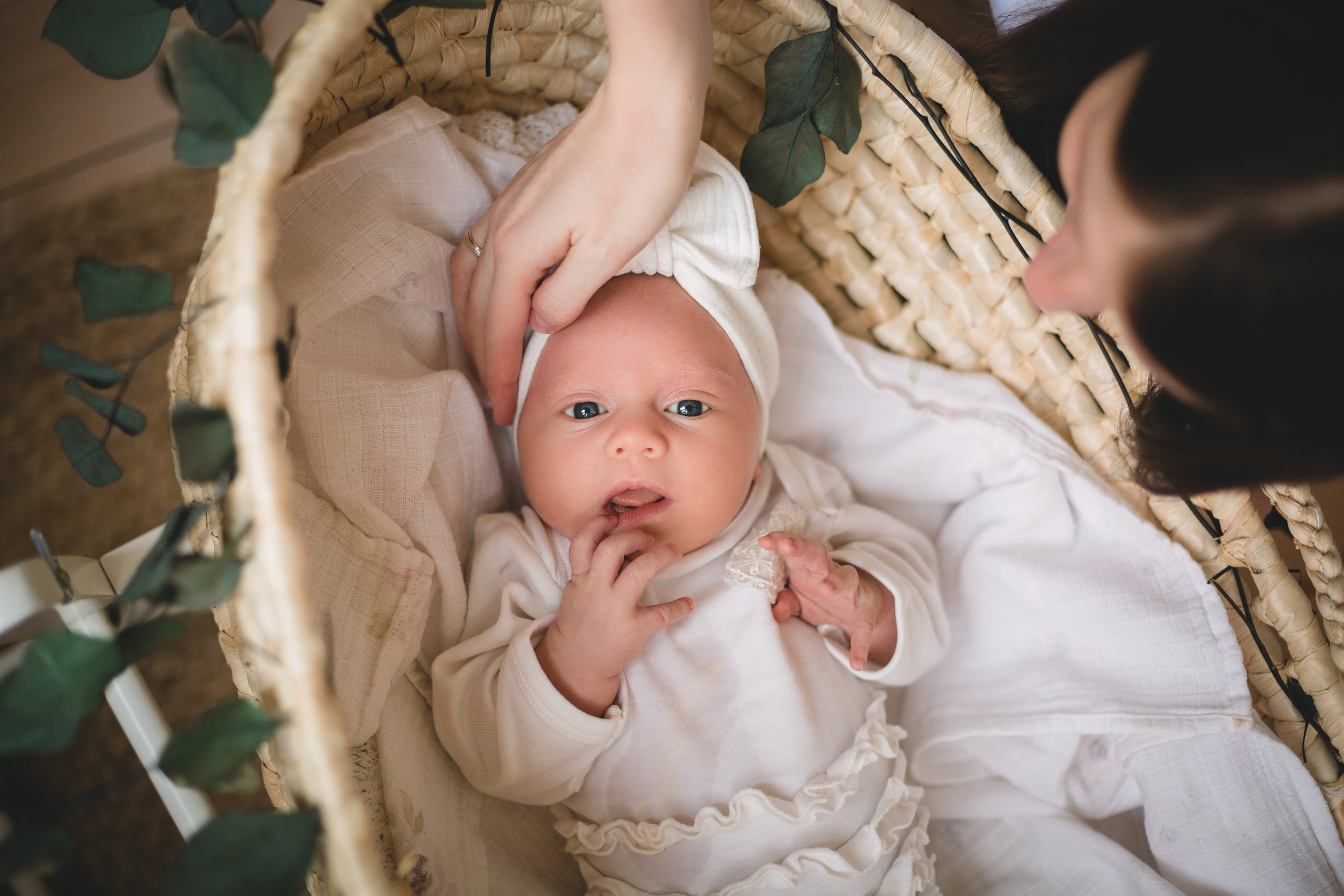 Стоимость фотосессии. Семейный и детский фотограф в Сочи Наталья Вербицкая