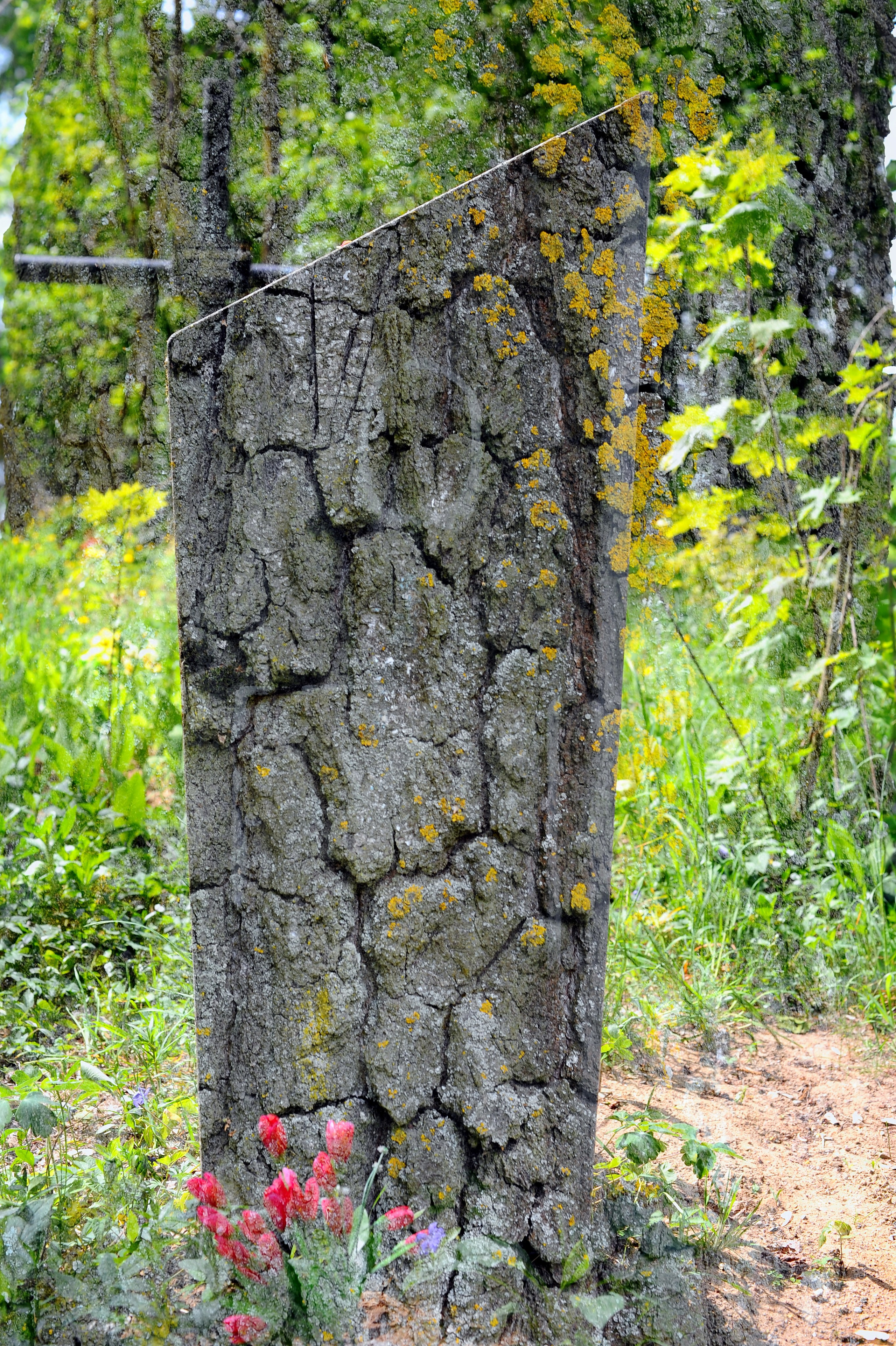 MEMENTO VITAE. Anastasia Segrenyova photography