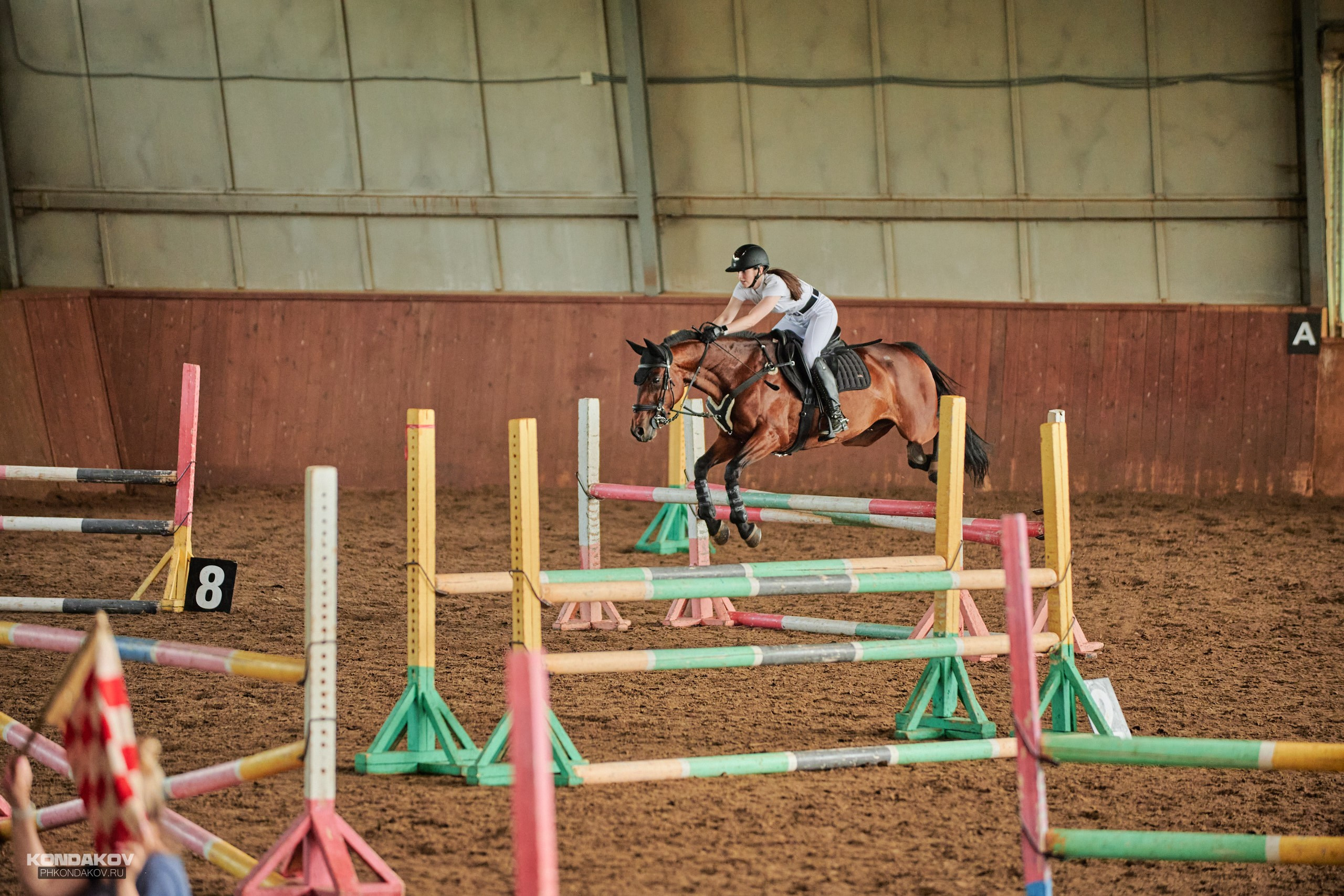 Съемка соревнований по конкуру для Риат. Фотограф в Иваново: Каталожная съемка одежды и постельного белья, Wildberries