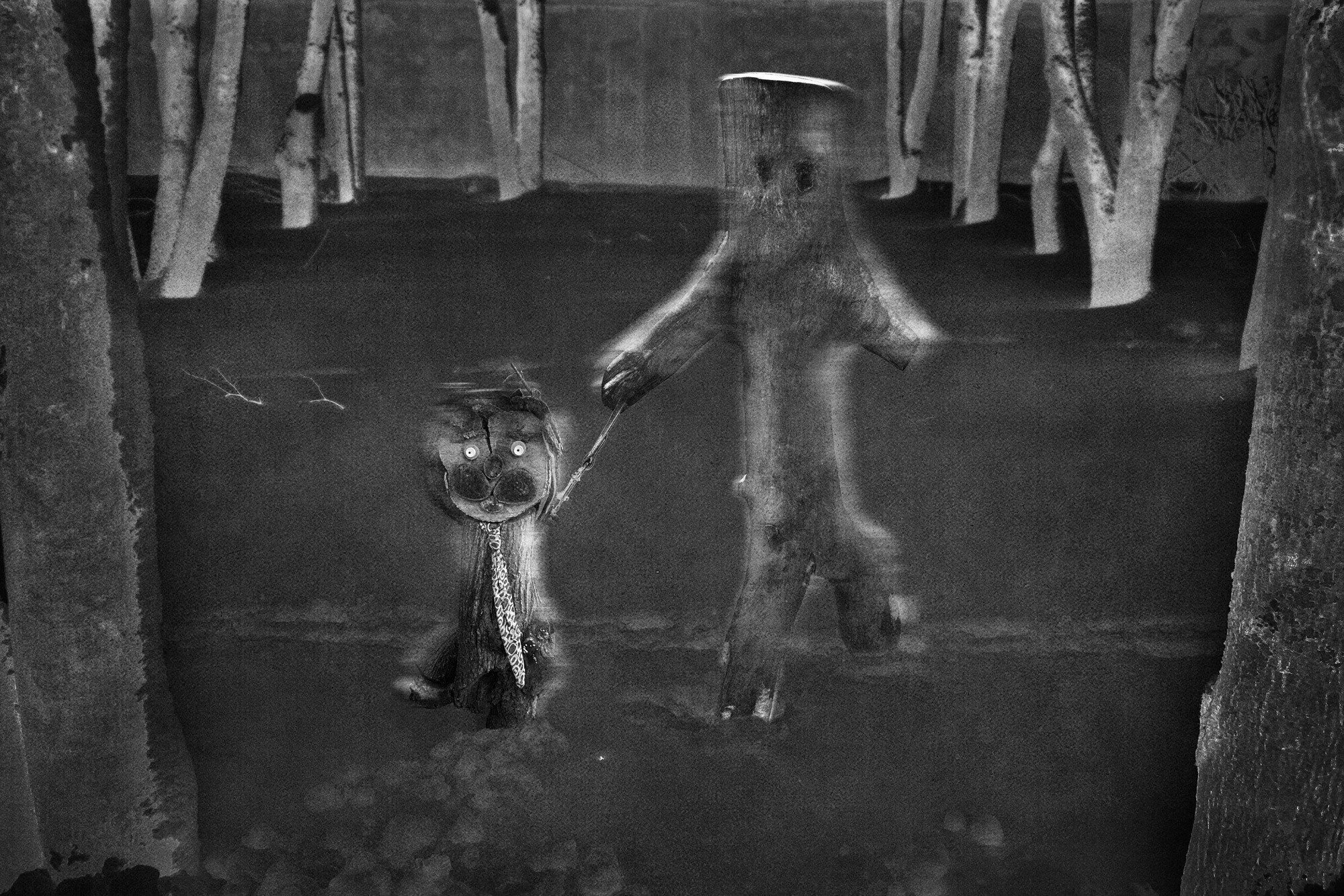 Тайны зимнего леса (2023). Мария Завьялова | фотограф и преподаватель фотографии