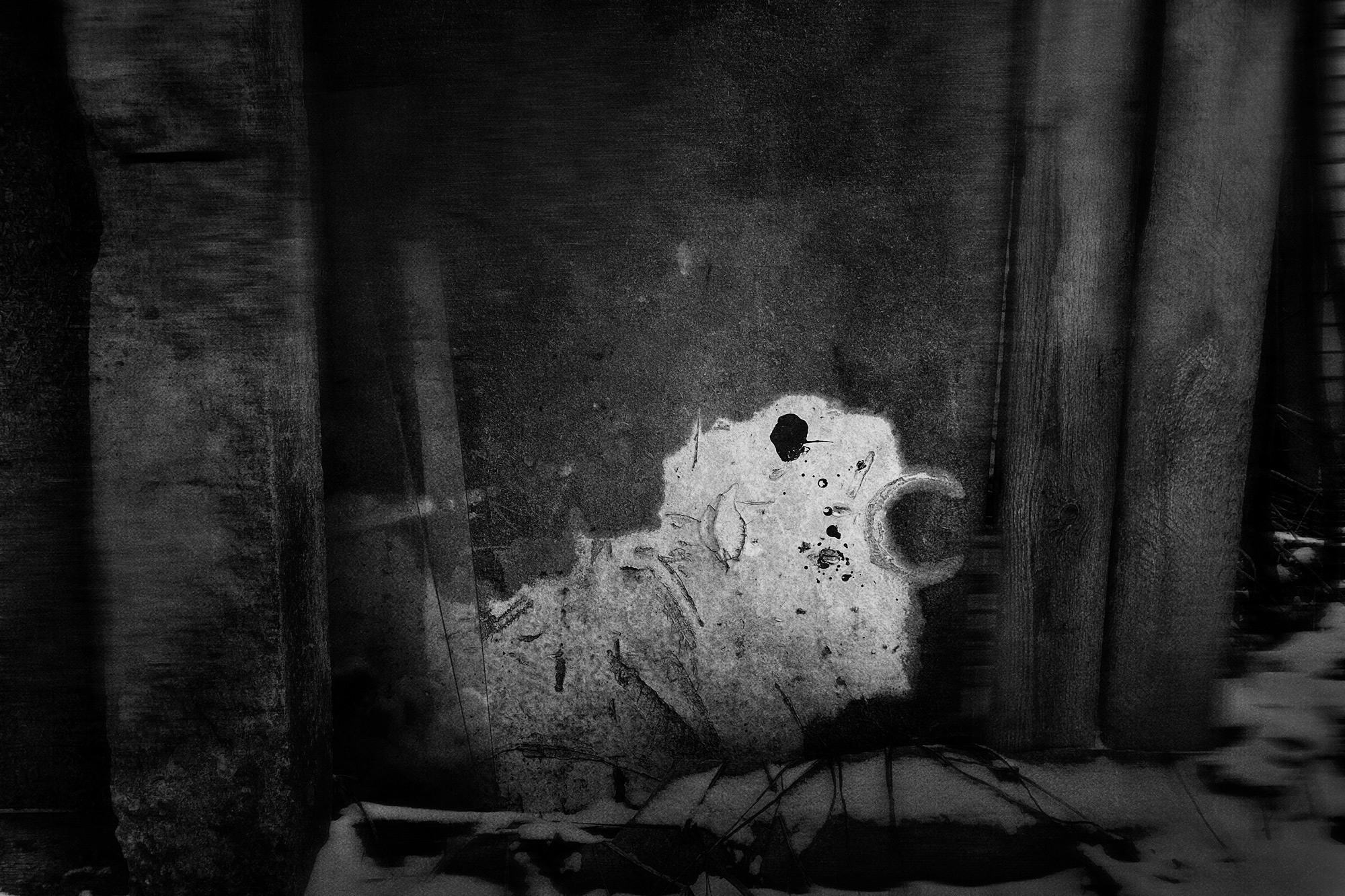 Тайны зимнего леса (2023). Мария Завьялова | фотограф и преподаватель фотографии