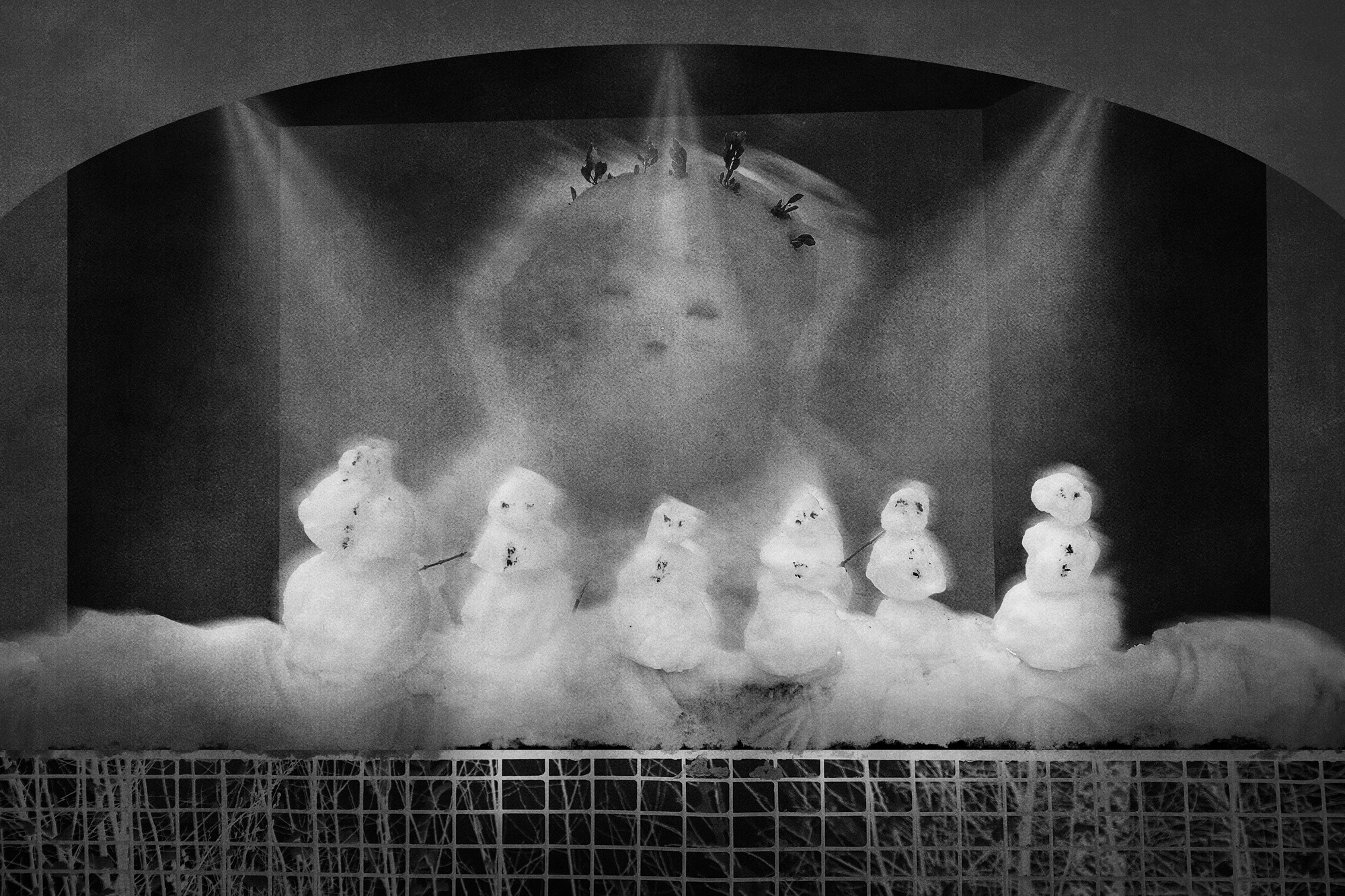 Тайны зимнего леса (2023). Мария Завьялова | фотограф и преподаватель фотографии