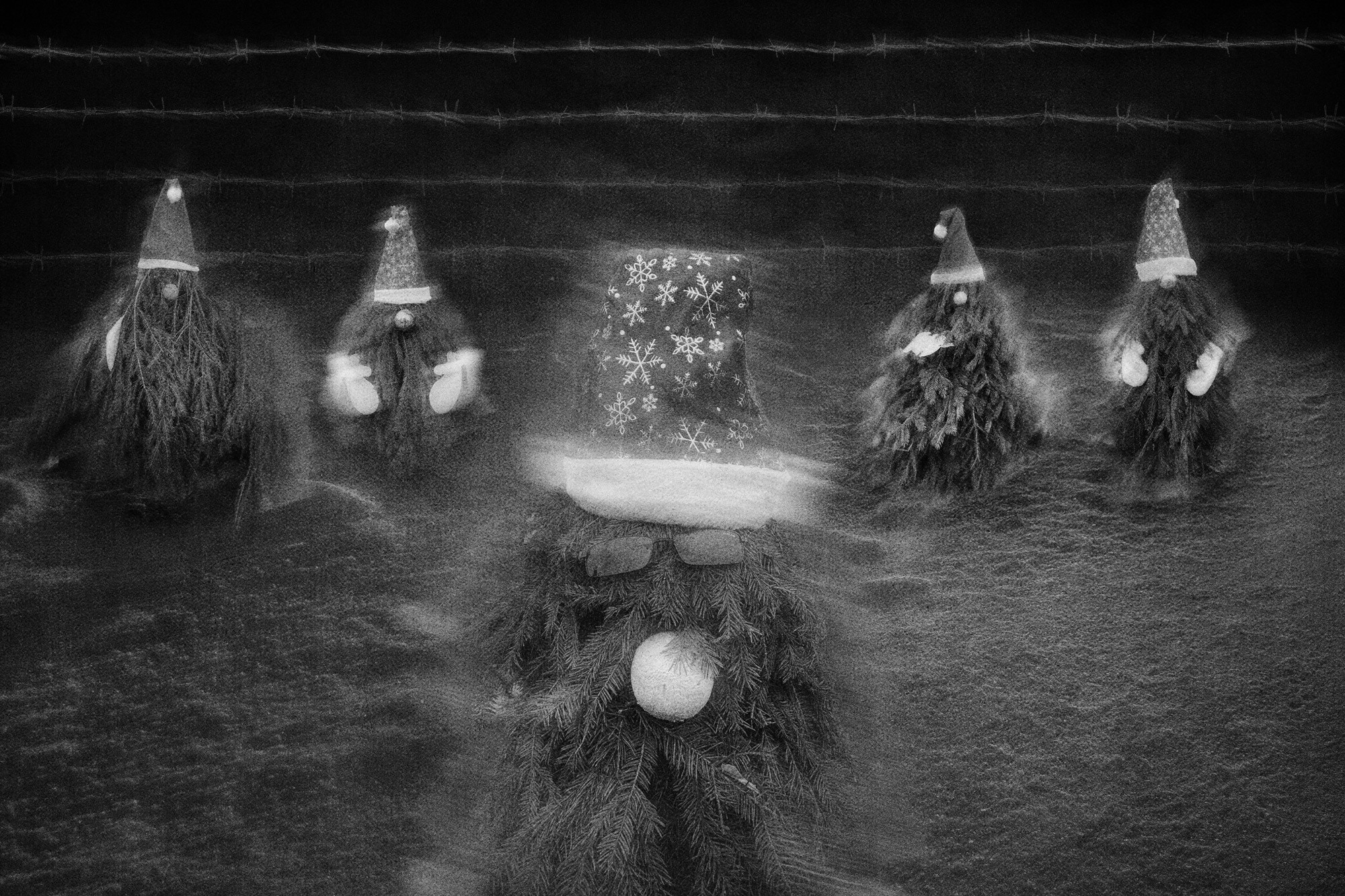 Тайны зимнего леса (2023). Мария Завьялова | фотограф и преподаватель фотографии