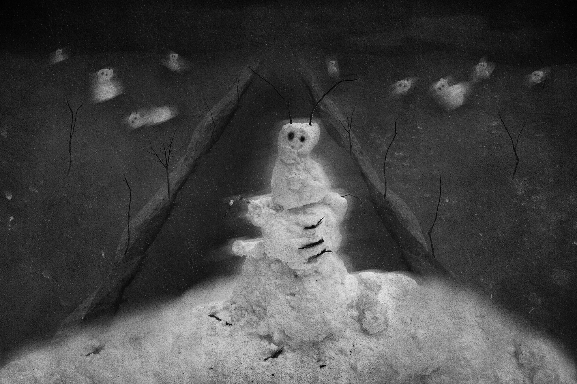 Тайны зимнего леса (2023). Мария Завьялова | фотограф и преподаватель фотографии