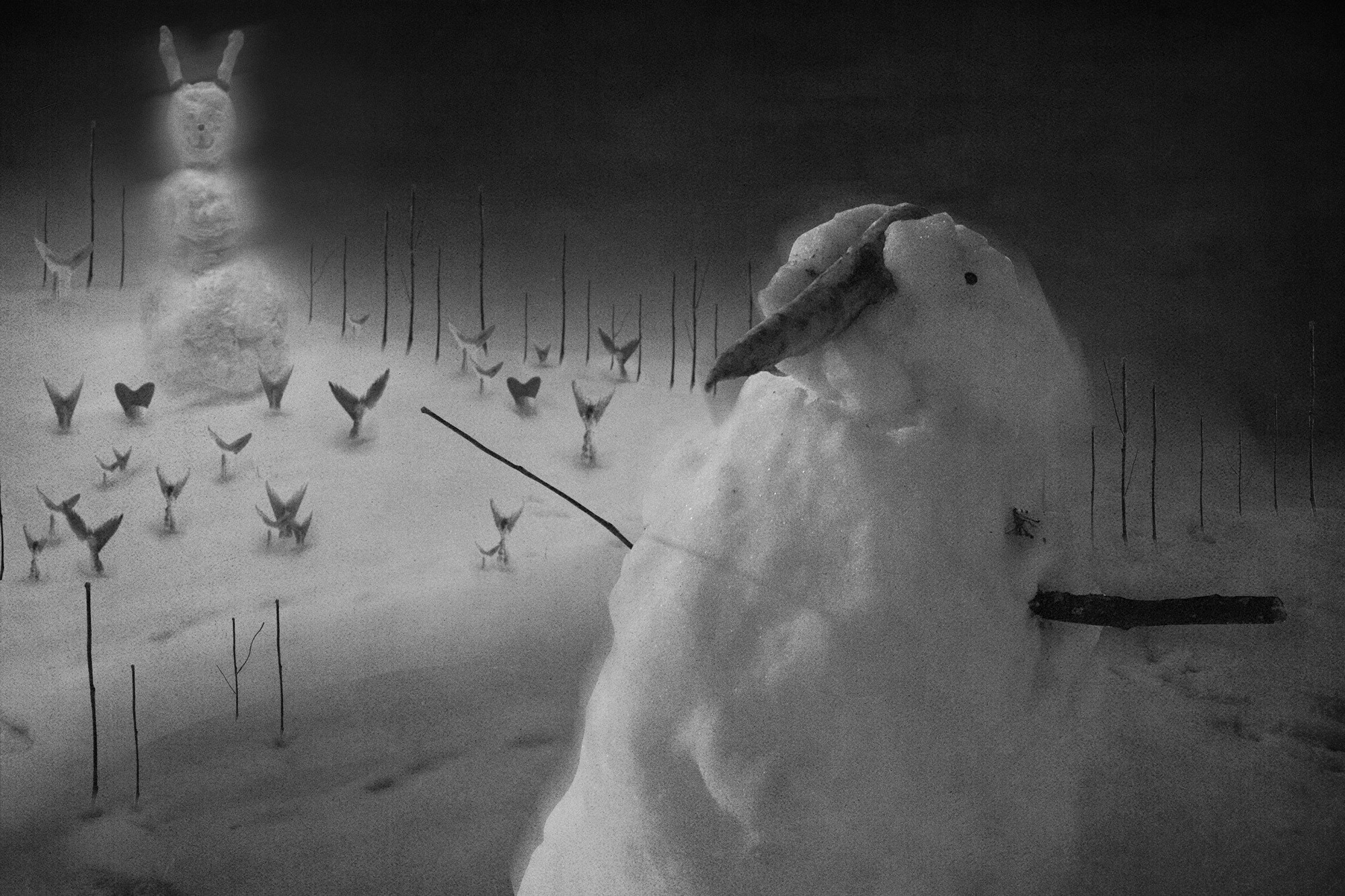 Тайны зимнего леса (2023). Мария Завьялова | фотограф и преподаватель фотографии