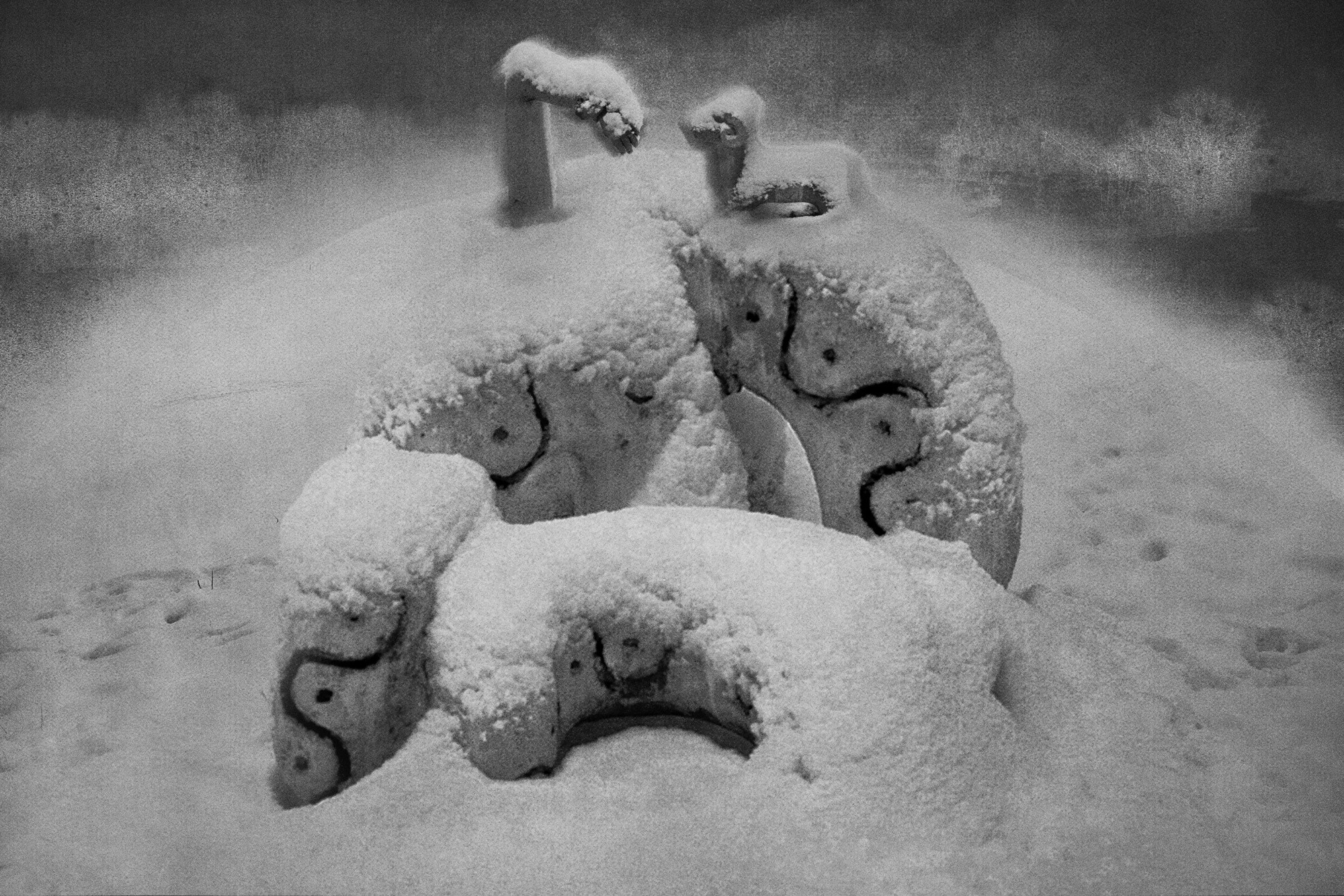 Тайны зимнего леса (2023). Мария Завьялова | фотограф и преподаватель фотографии