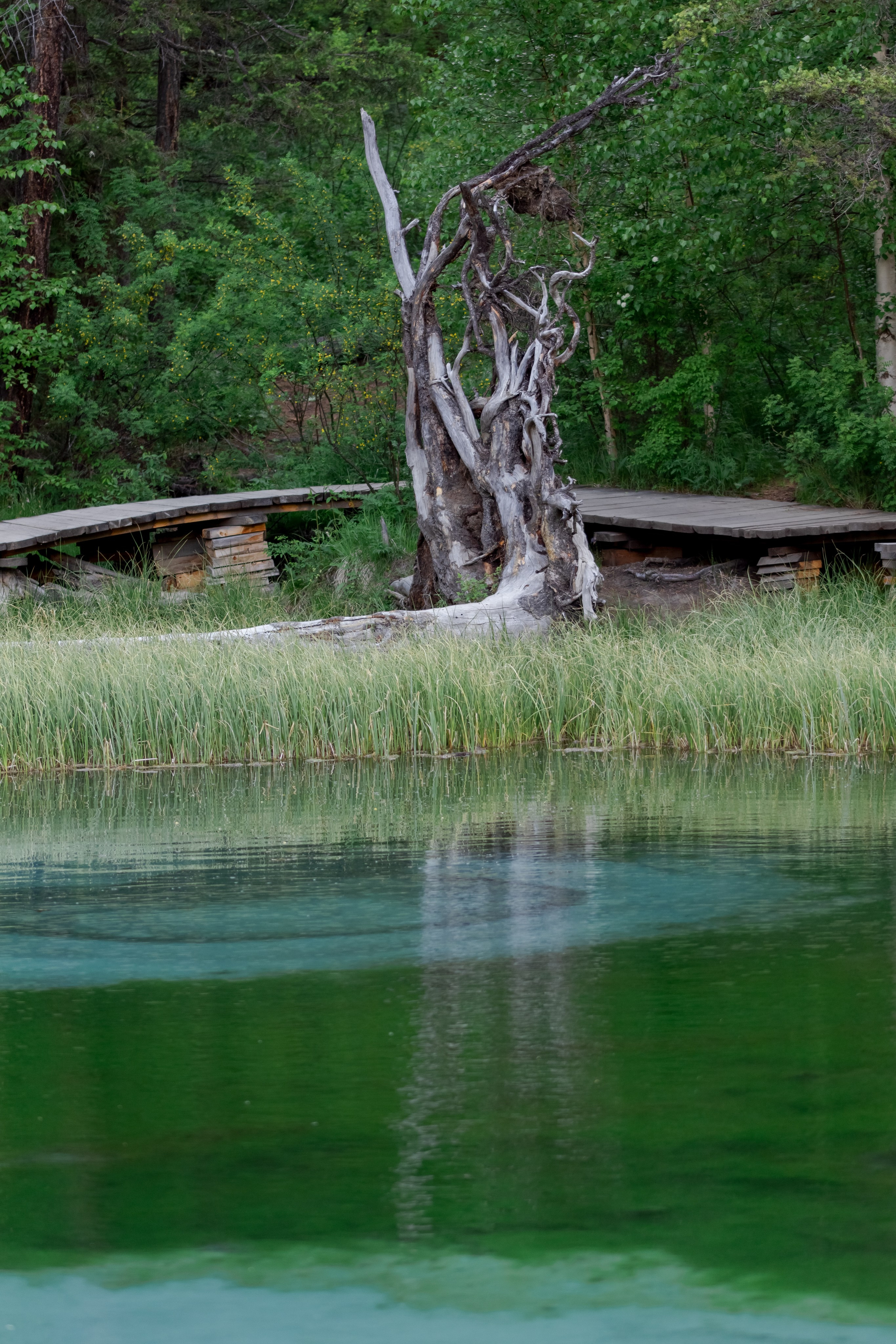 Горный Алтай. Фотограф Кирилл Мешков Кемерово