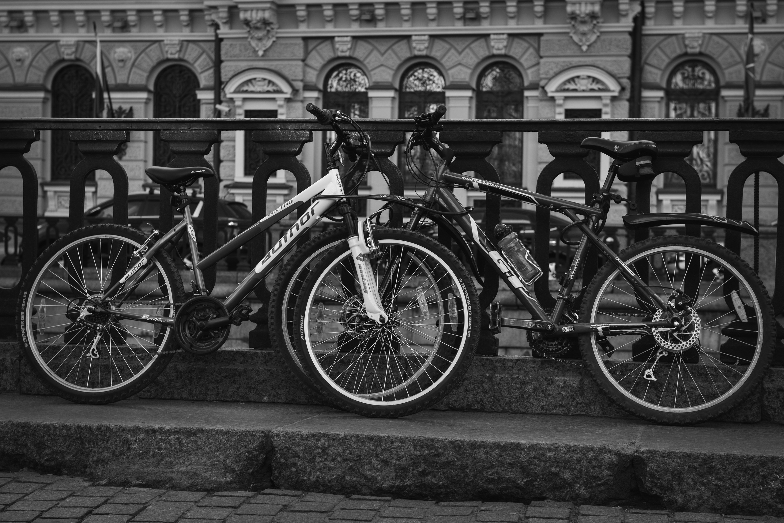 Фотограф в Калининграде Сулейманов Амирхан