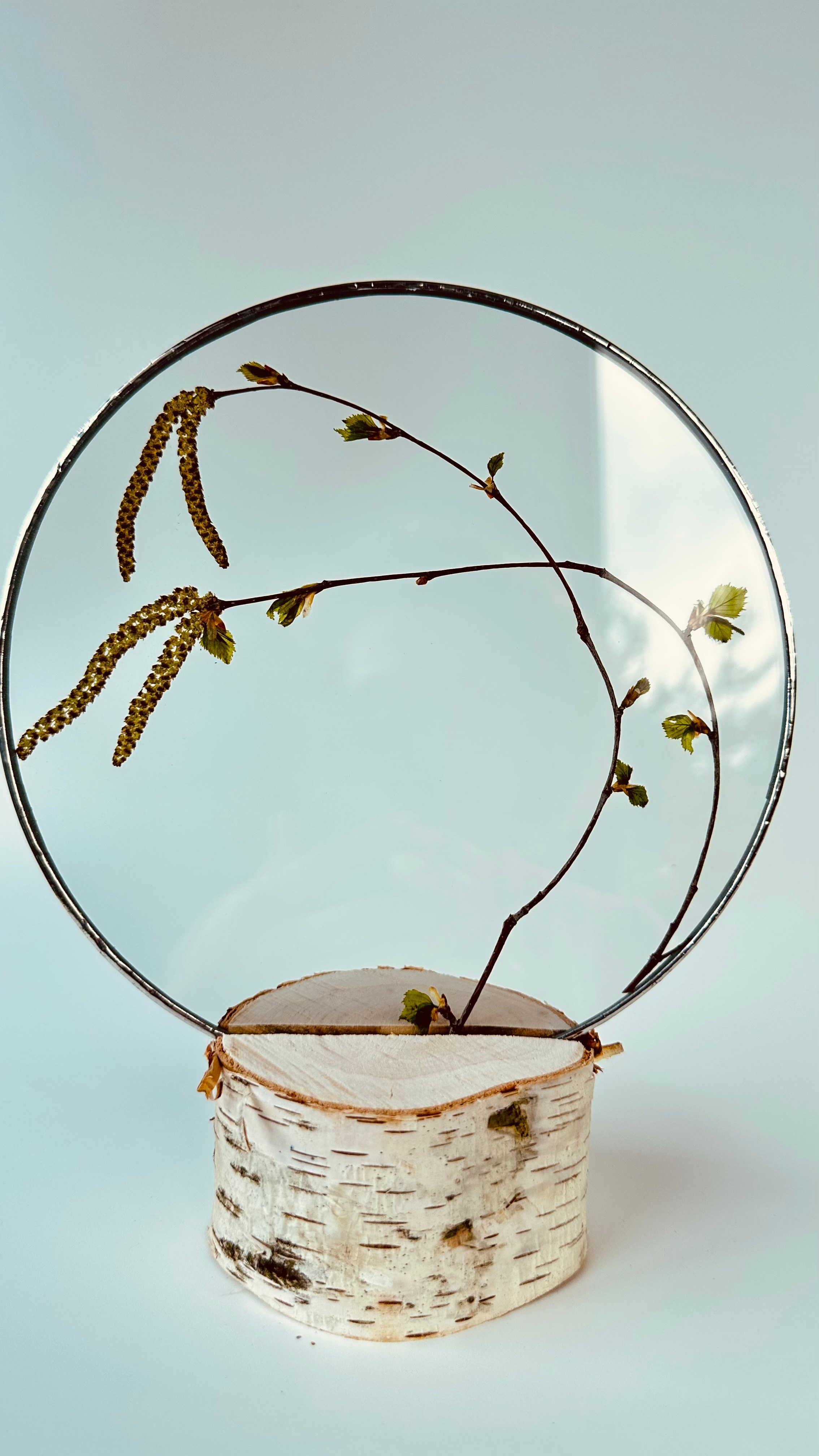 Береза круг 20 см. Оформляю пространства. Витражи с сухоцветами в технике Тиффани