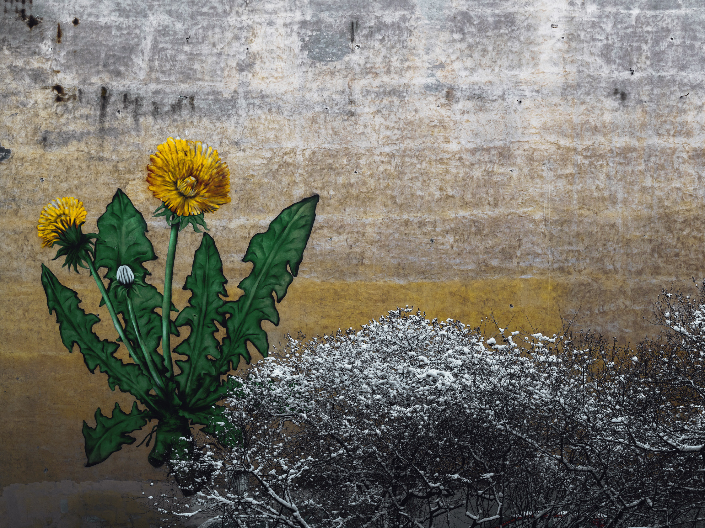 Firewall. Viktor Garshnep Documentary Photographer