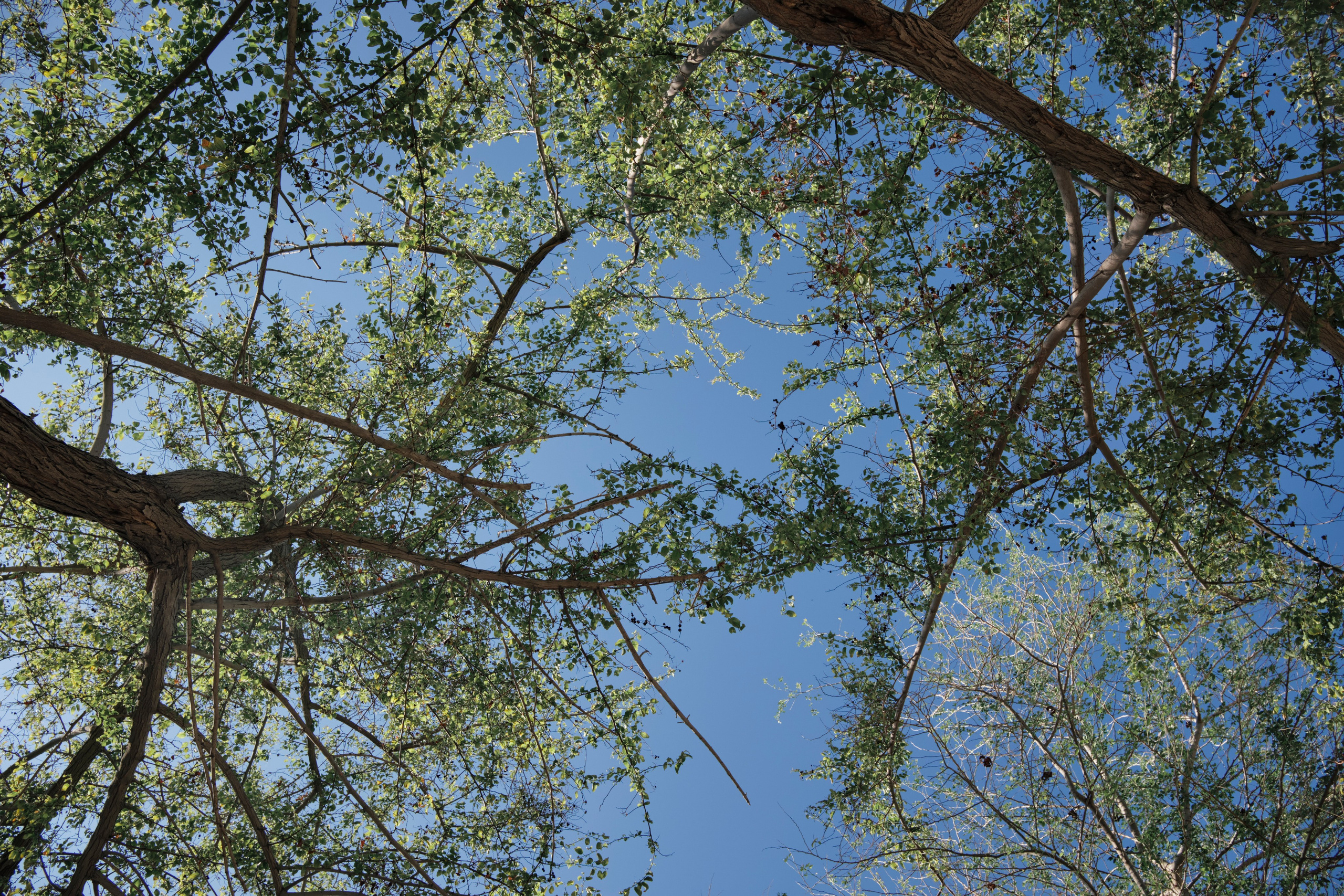 Дубай. Елена Павленко. Фотограф. Москва