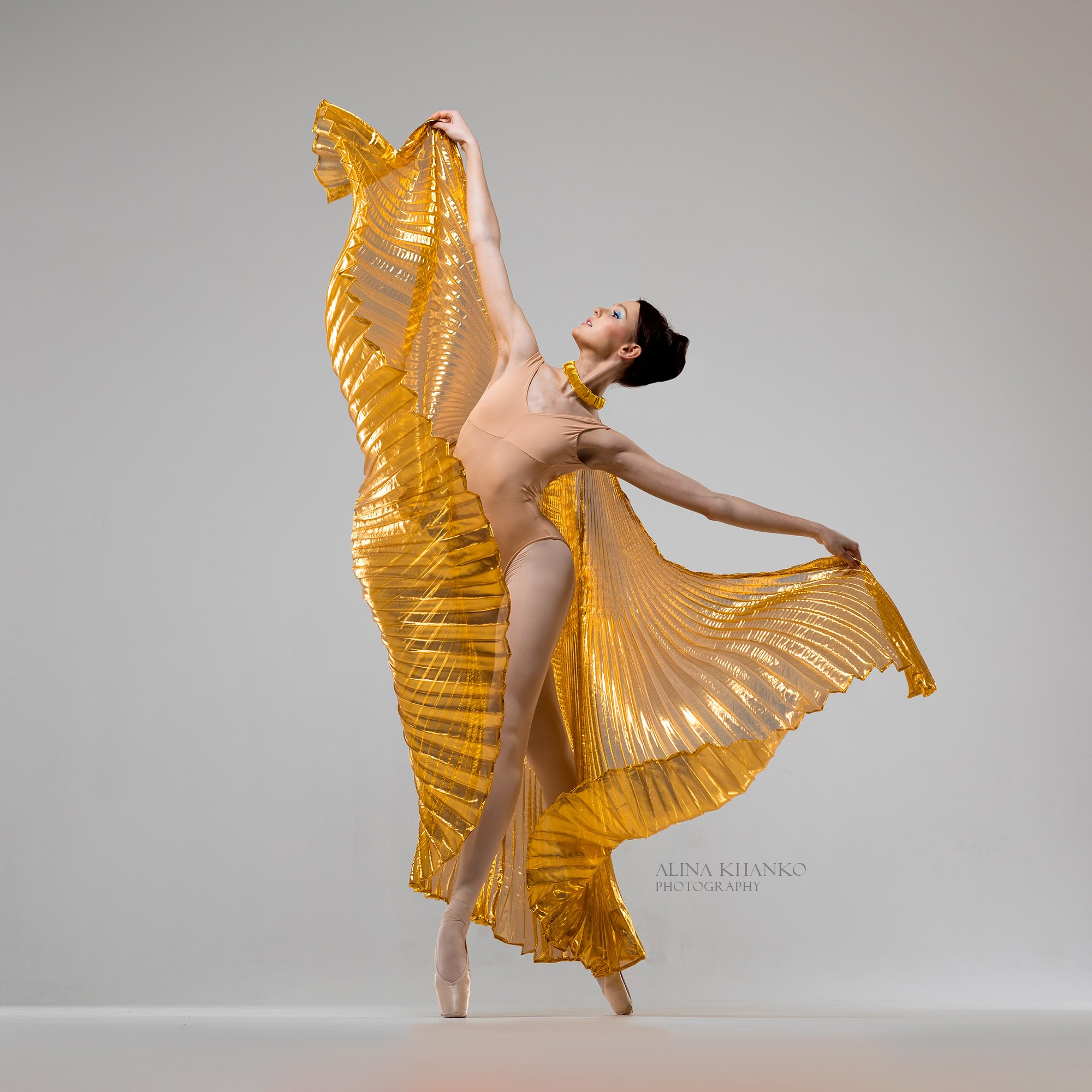 Крылья золотые напрокат бесплатно. Балетный фотограф Алина Ханько — Душа Балета