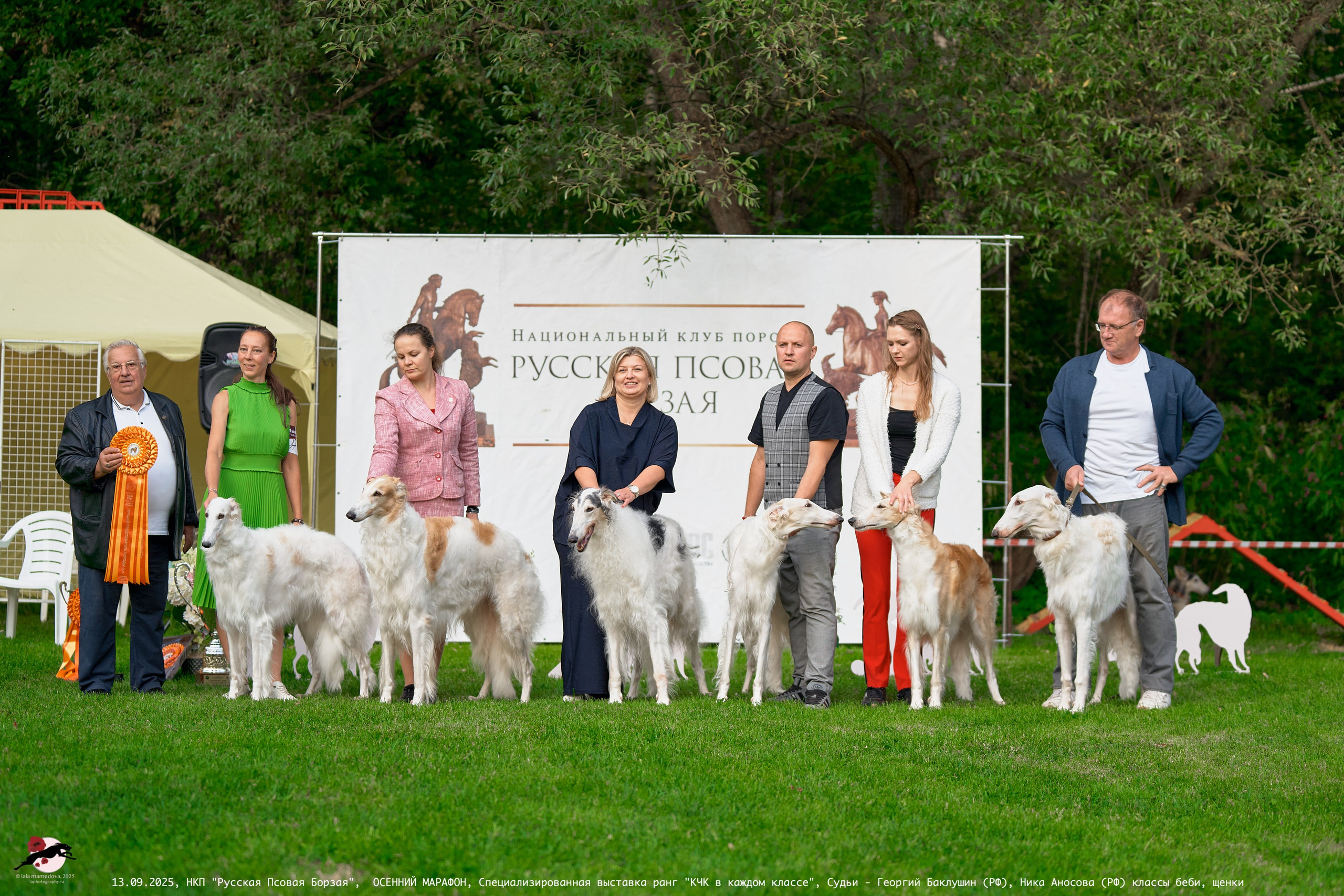 ОСЕННИЙ МАРАФОН | Специализированная выставка породы Русская Псовая Борзая ранг "КЧК в каждом классе"