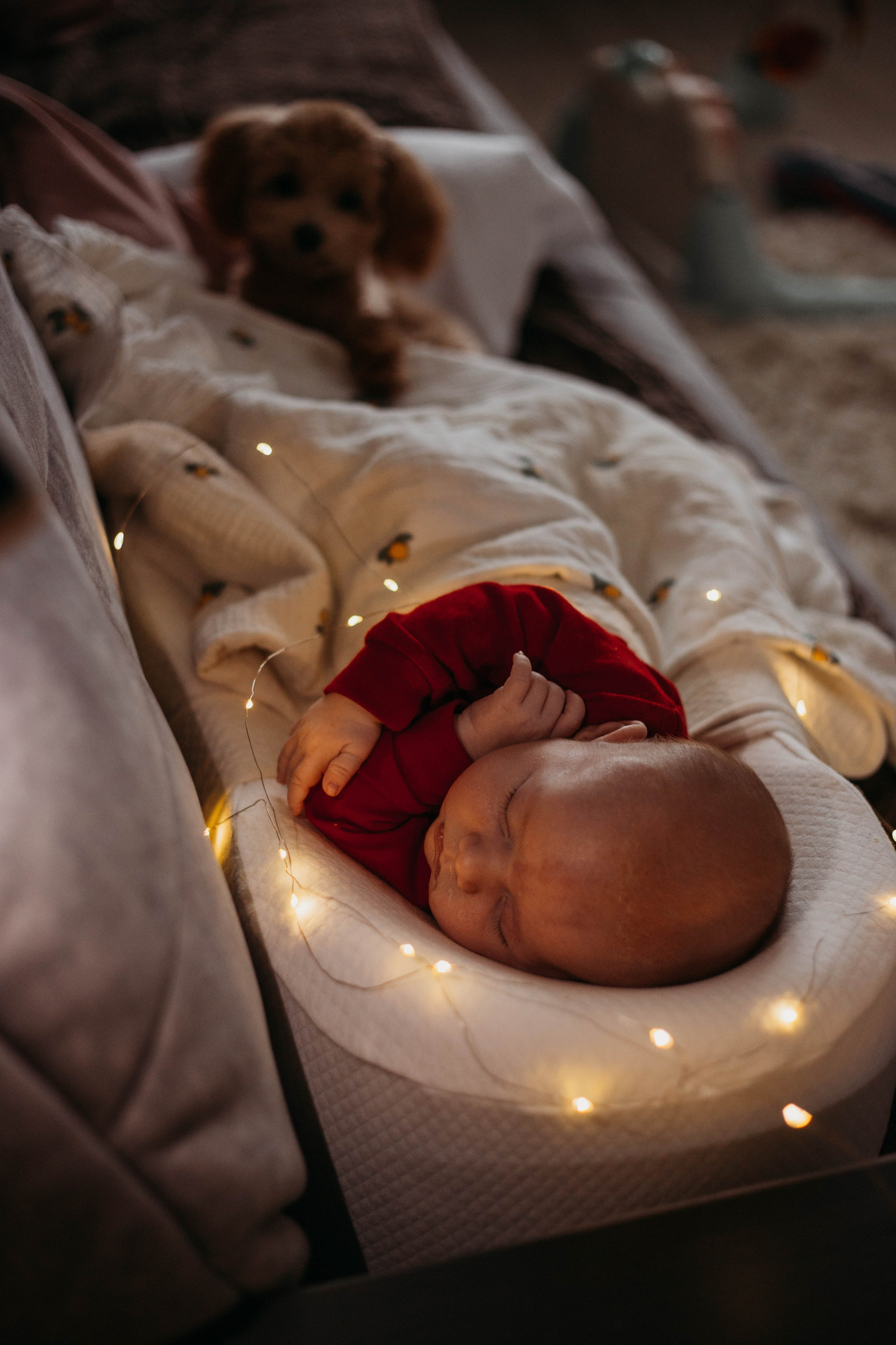 Портфолио семейного фотографа. Семейный и детский фотограф в Москве Зарудняя Дария