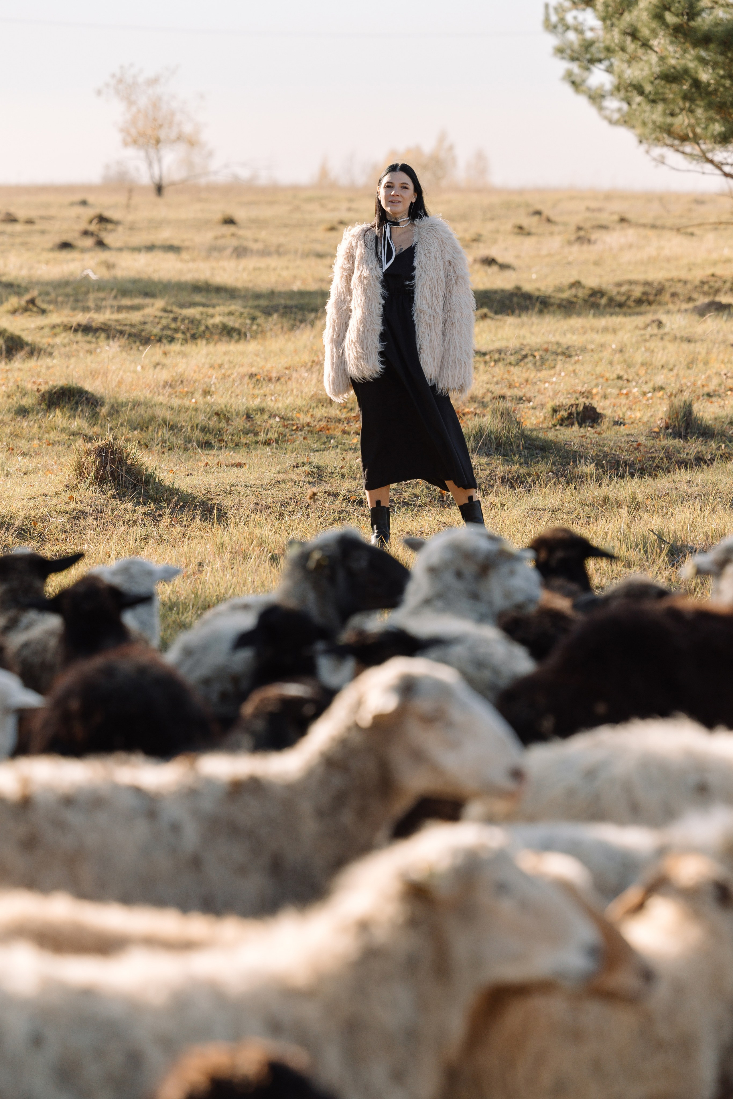 Охота на овец