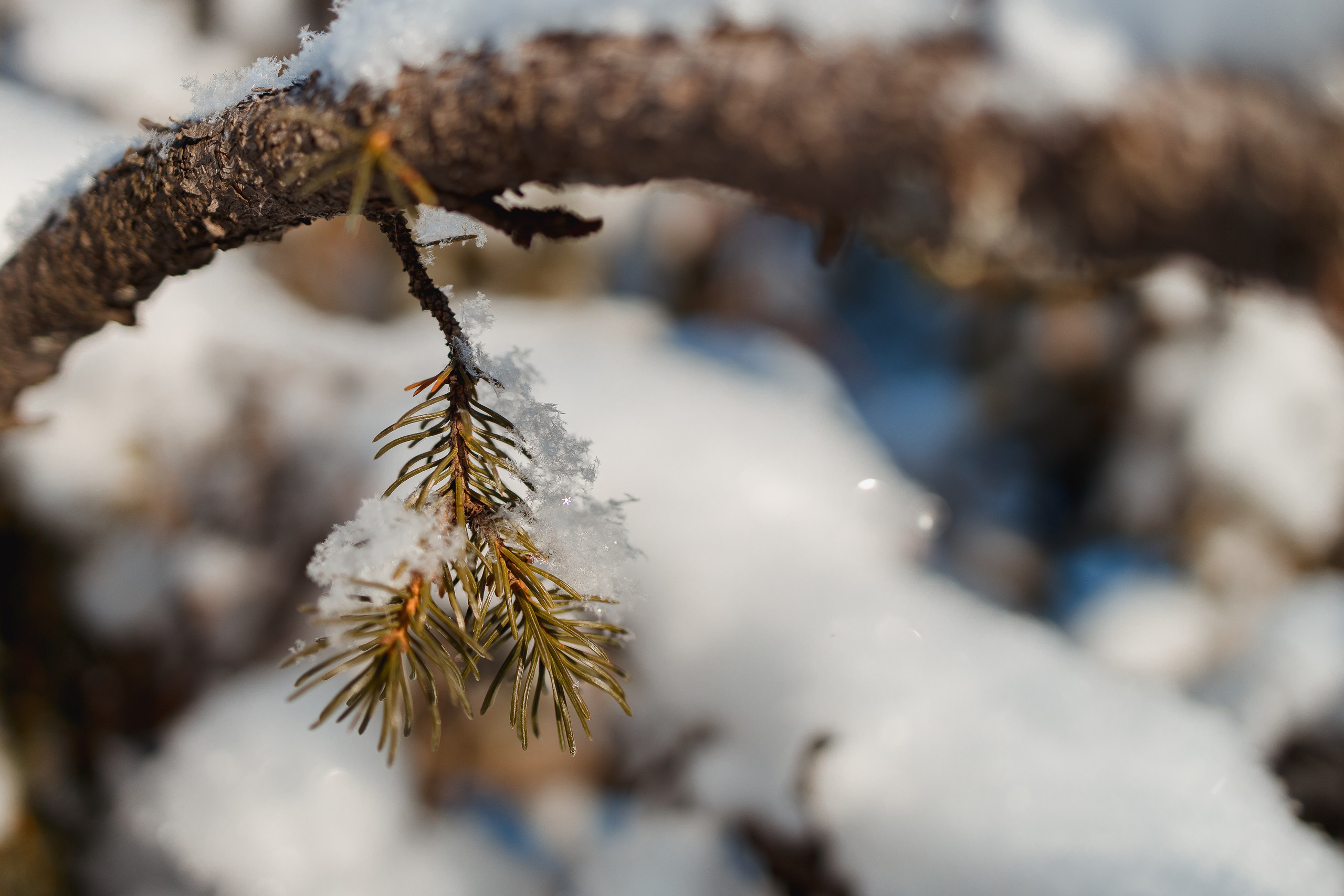 Зима 2023, -30. Семейный и детский фотограф в Железногорске Саламахо Ольга
