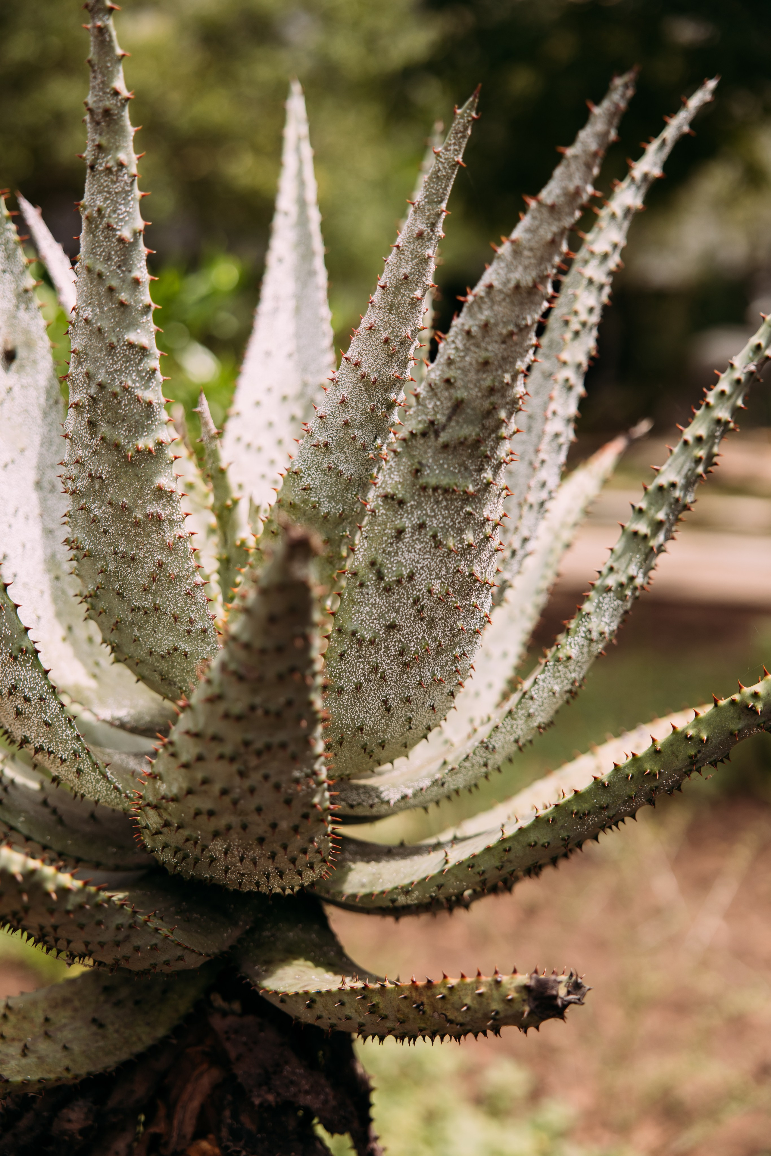 Фотограф Марина Аблаева-Кожедуб
