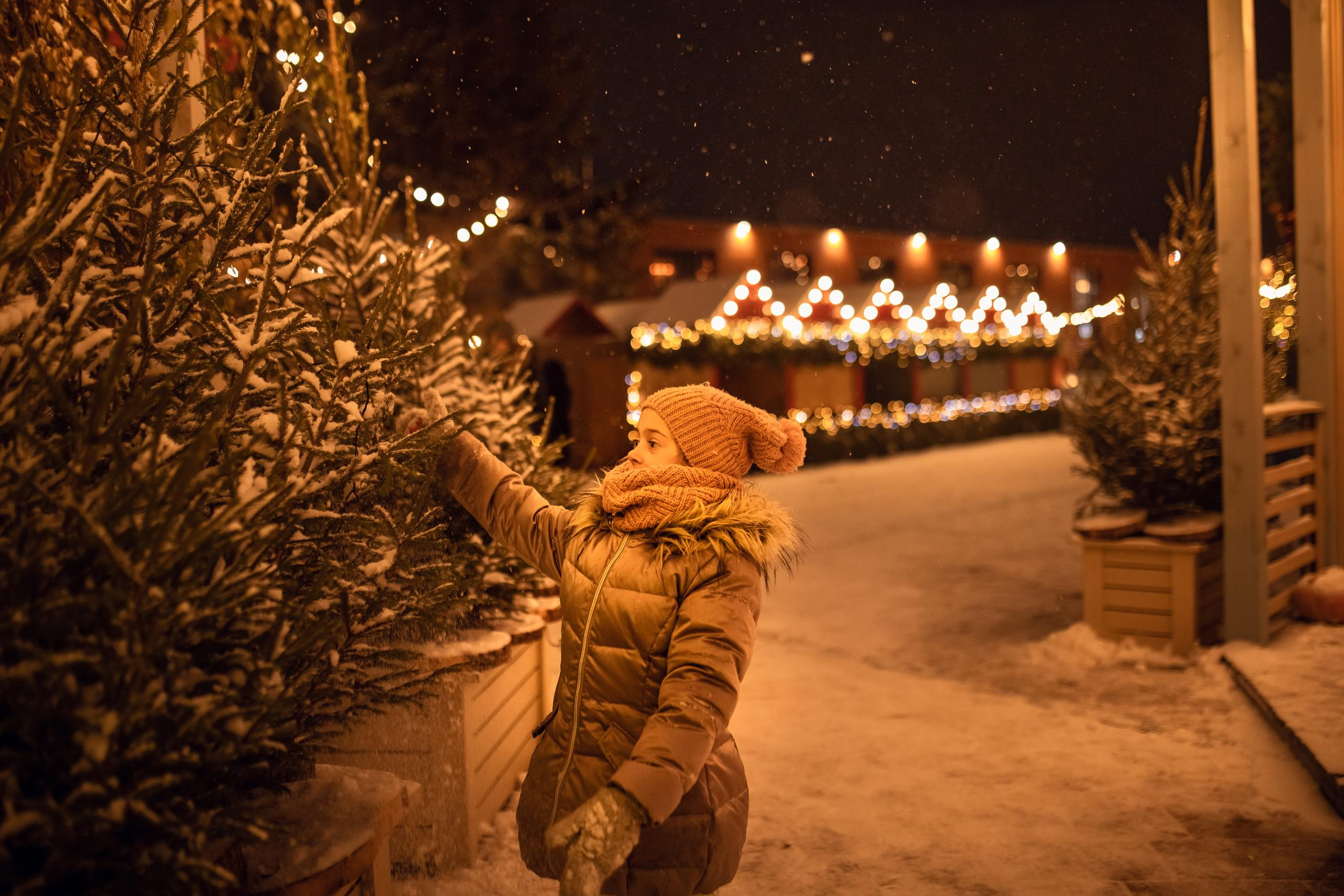 Новогодняя фотопрогулка в Искре. Женский семейный фотограф Тула Москва Захарова Анна