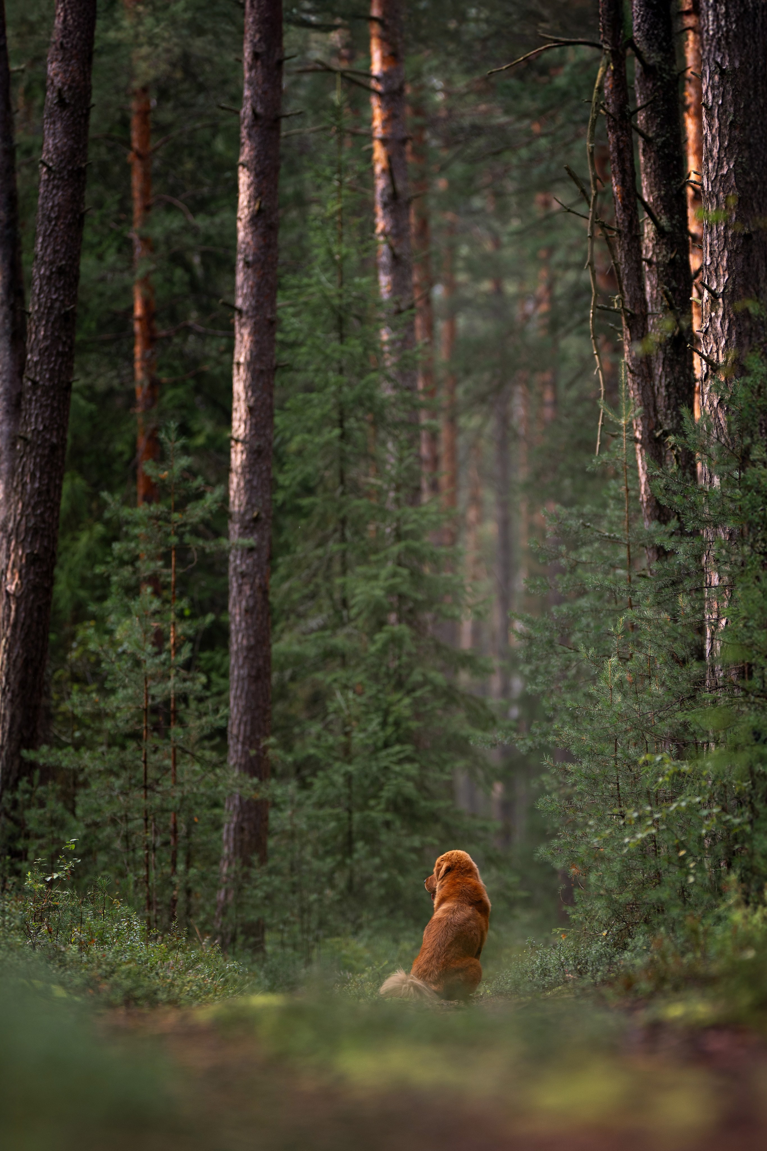 Мои Злата и Фред. -