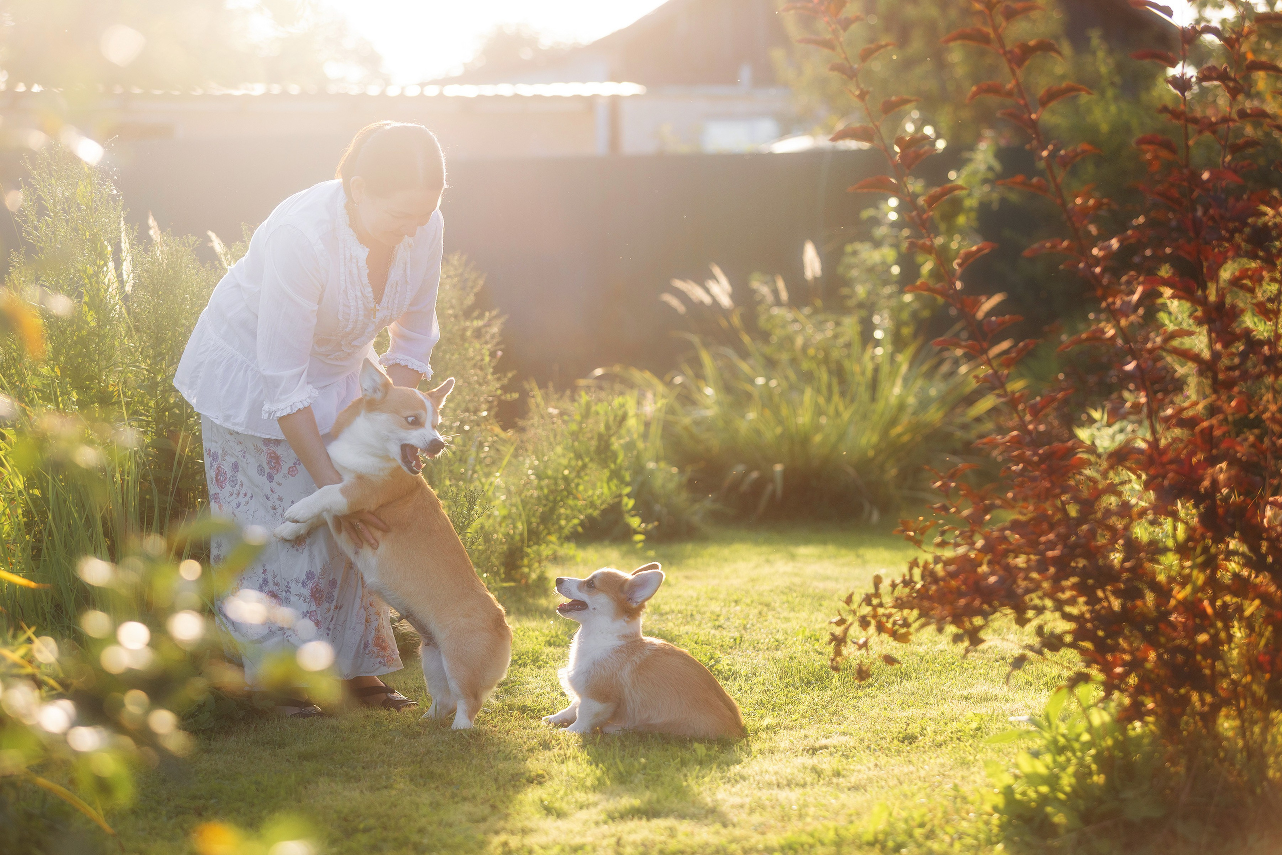 Фотограф Алена Звездина