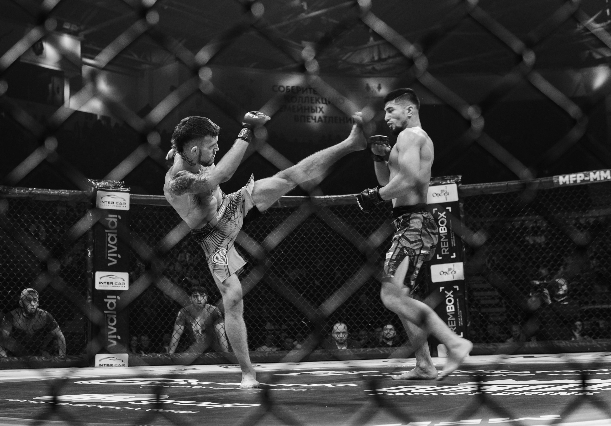 Турнир по панкратиону в Платинум Арене, Хабаровск — фото от репортажного фотографа из Хабаровска Дергачёва Дмитрия