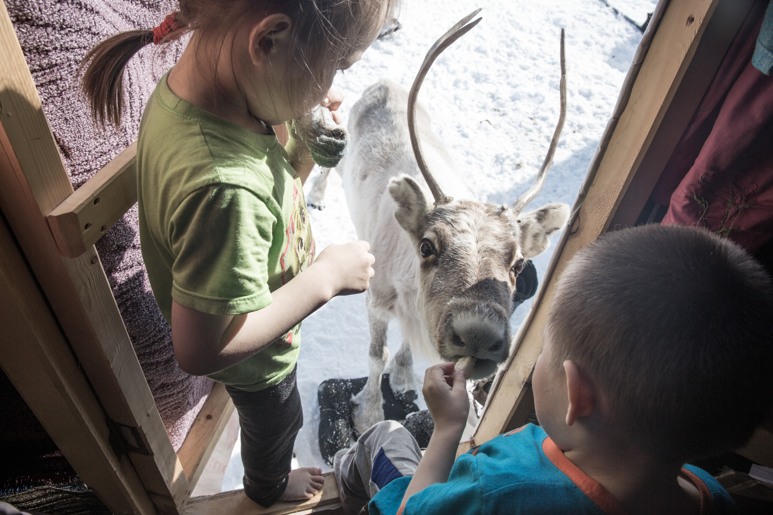 People of tundra. Yulia Nevskaya, documentary photographer and photojournalist