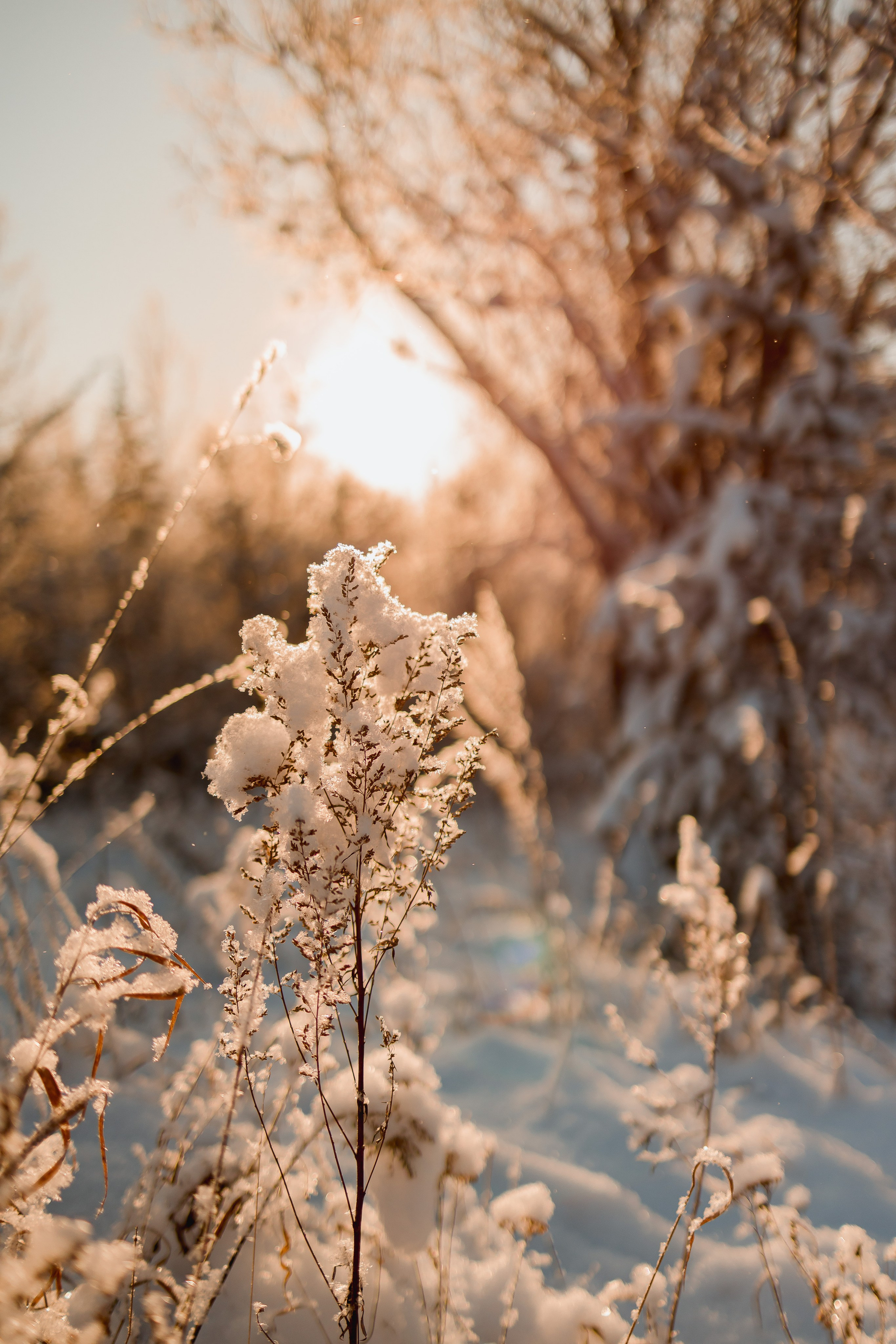 Зима 2023, -30. Семейный и детский фотограф в Железногорске Саламахо Ольга