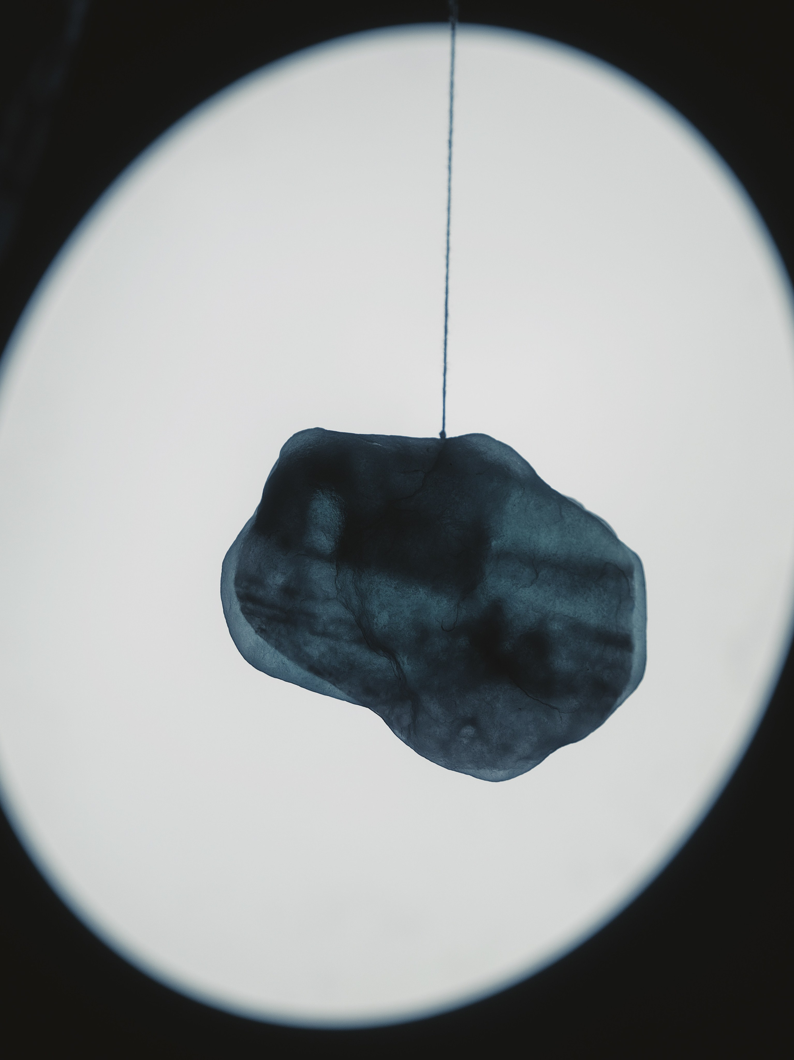 The Shore. Elina Gusarova