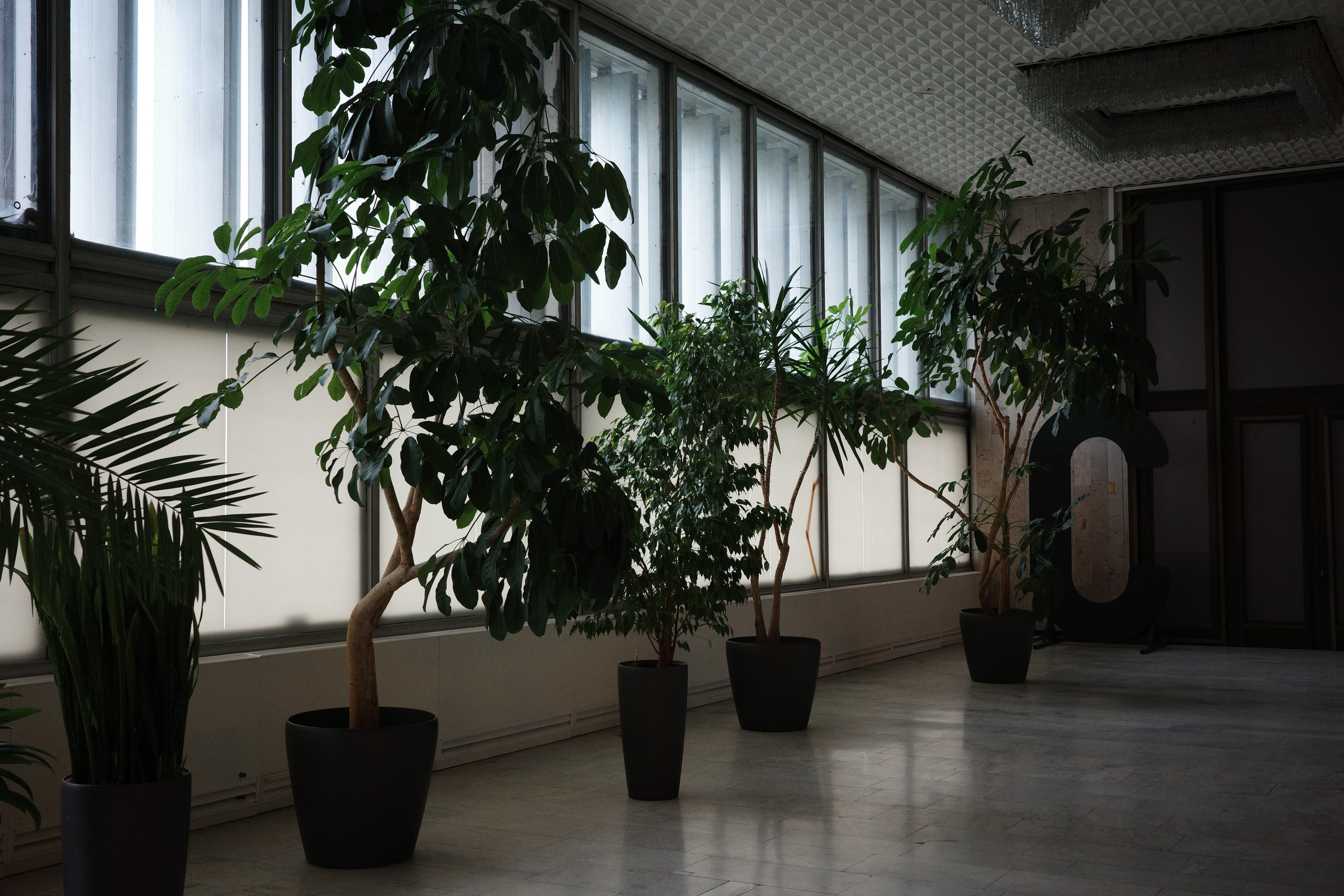 #40: Новая Третьяковка. Проект «Фотокладовка»: блог уличной фотографии в формате street photo