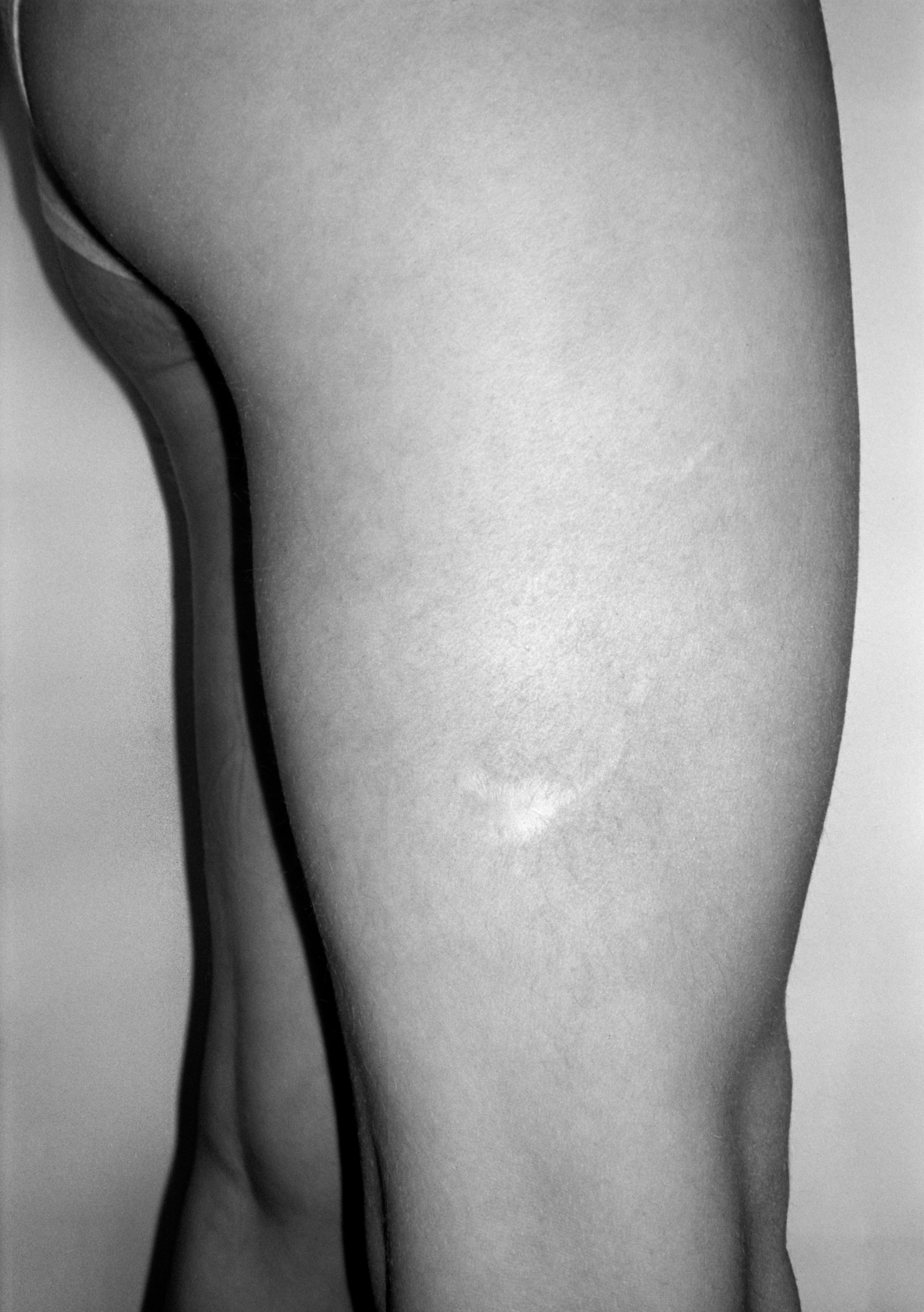 ALL DOGS GO TO HEAVEN. Dima Ptitsyn