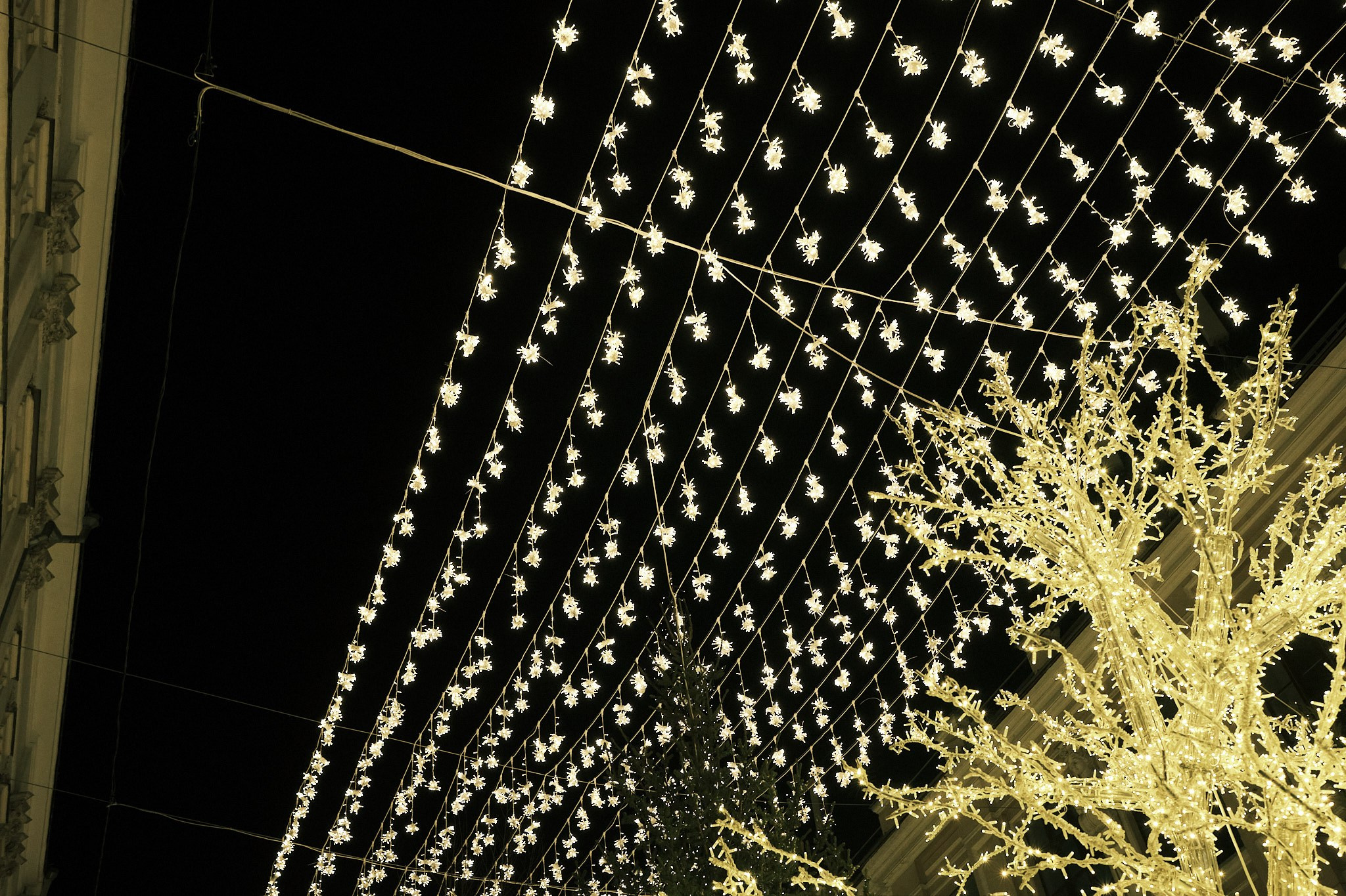 Москва без снега. Фотографъ Сергѣевъ. Поймать мгновеніе