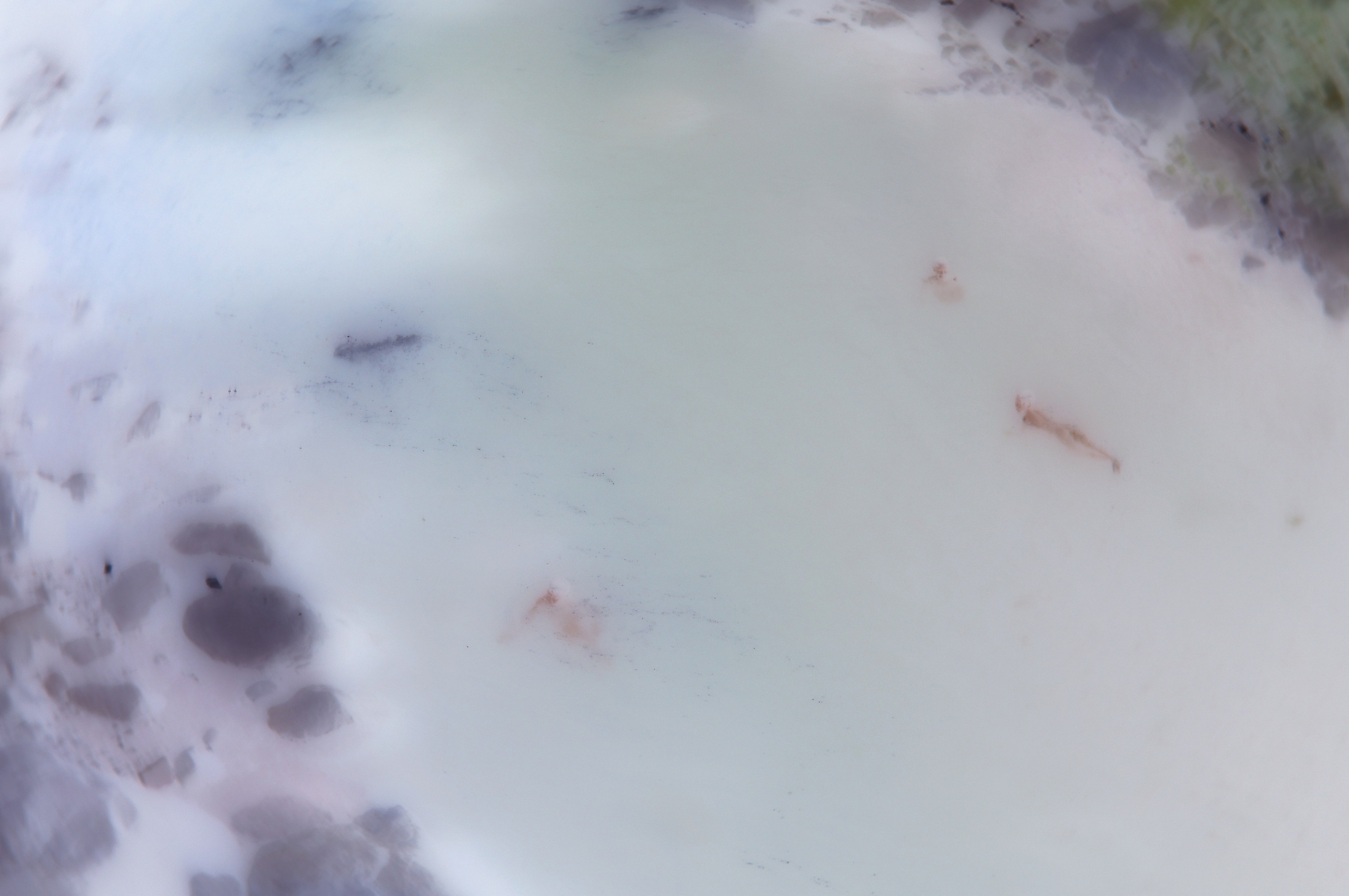 ФОТОГРАФИЯ. CONTEMPORARY ARTIST OLGA ANDRIYASH