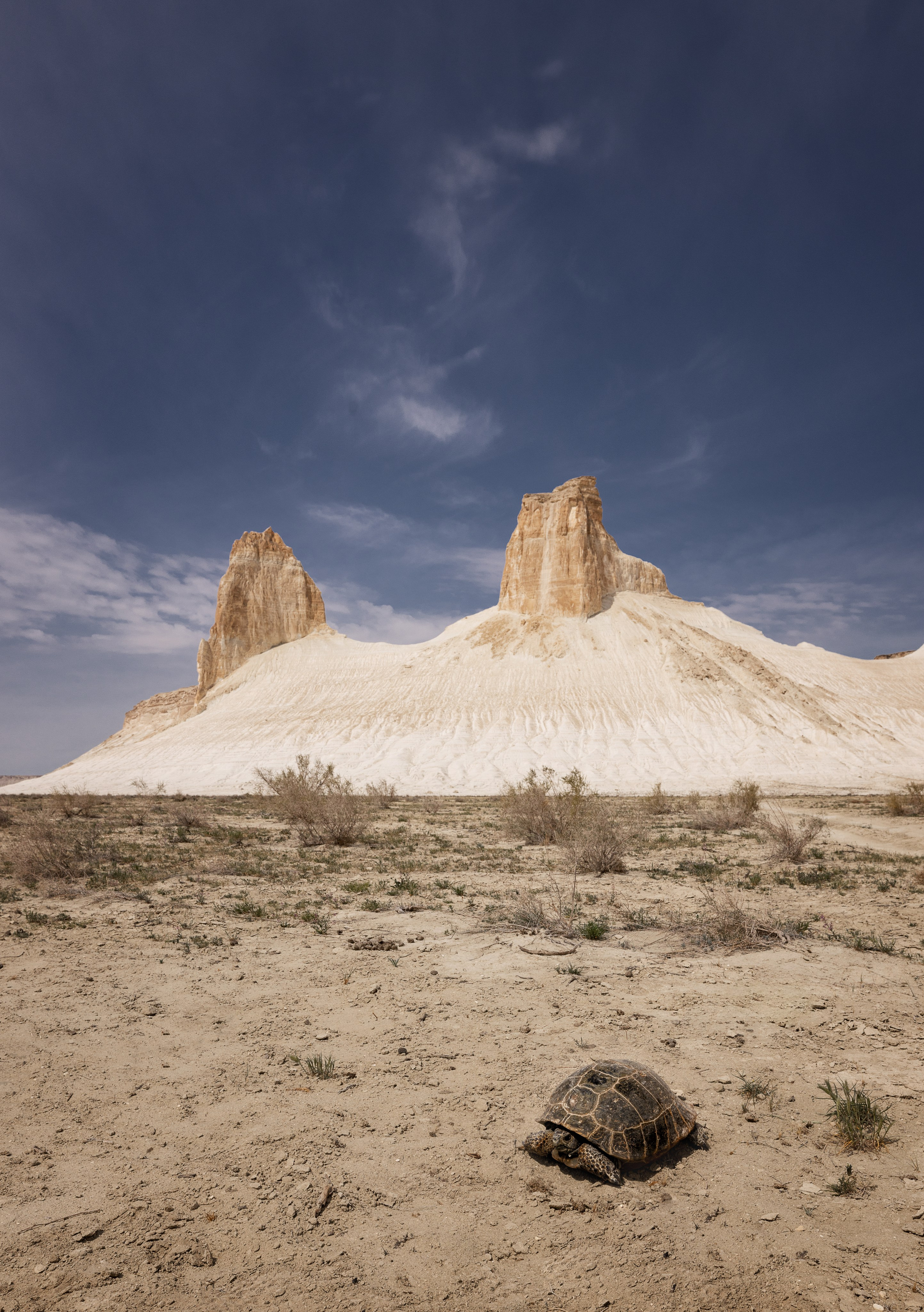 Мангистау Апрель 2025 | Фотограф Дмитрий Купрацевич. Дмитрий Купрацевич профессиональный пейзажный и travel-фотограф