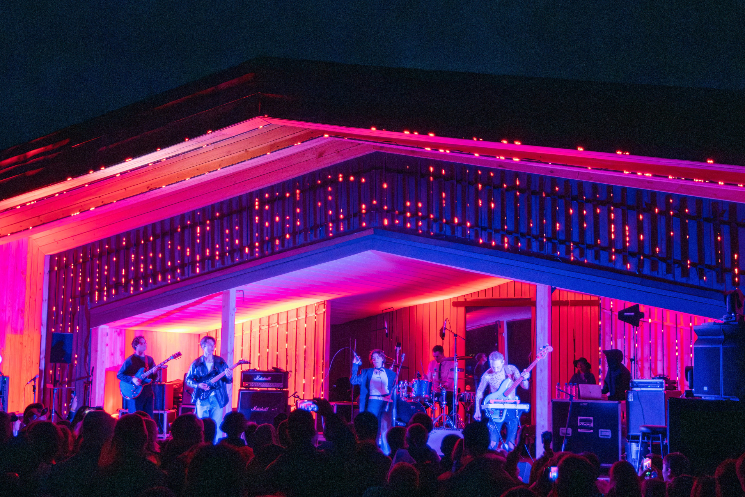 Дикая мята 2025. Концертный фотограф